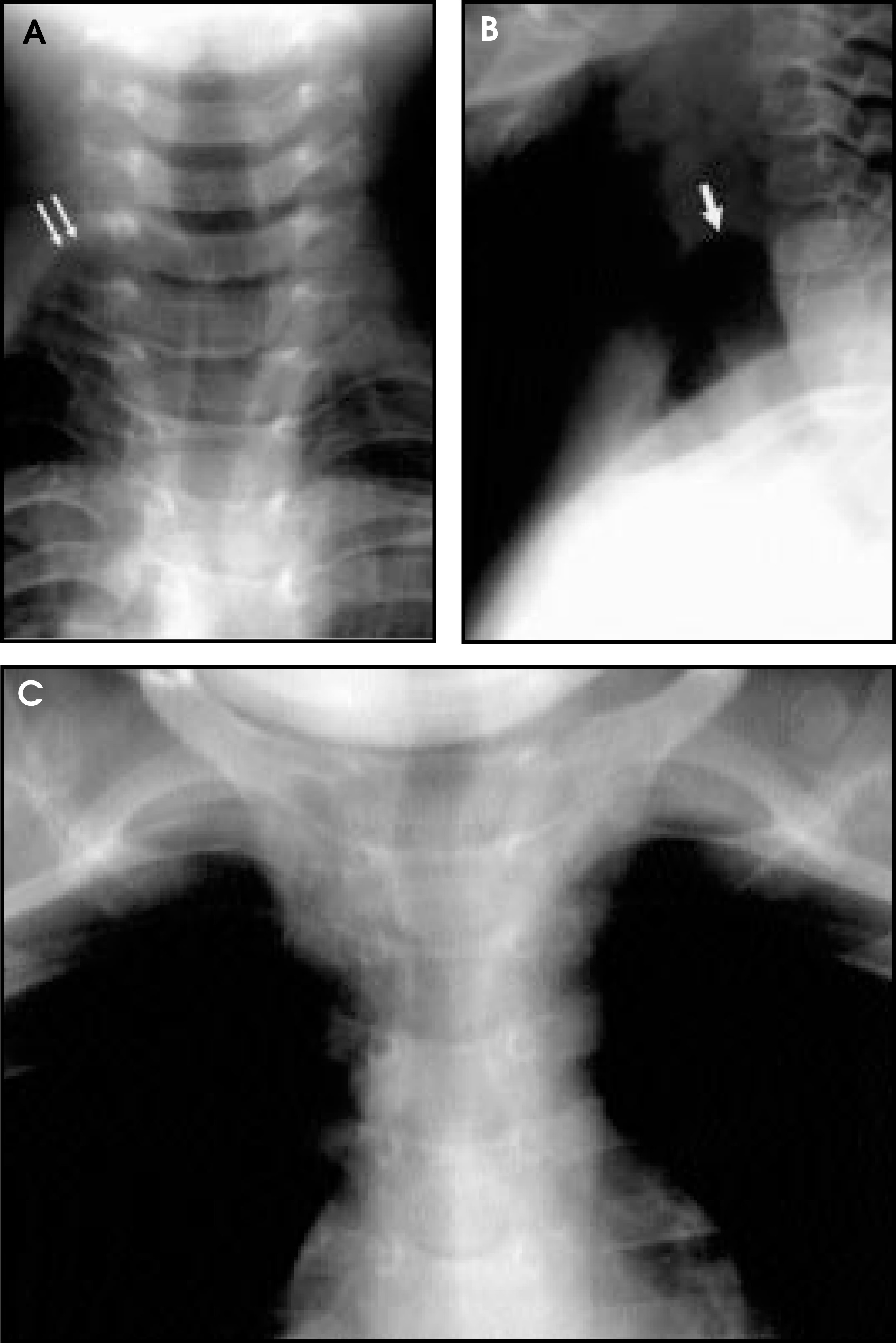 FIGURE 3.