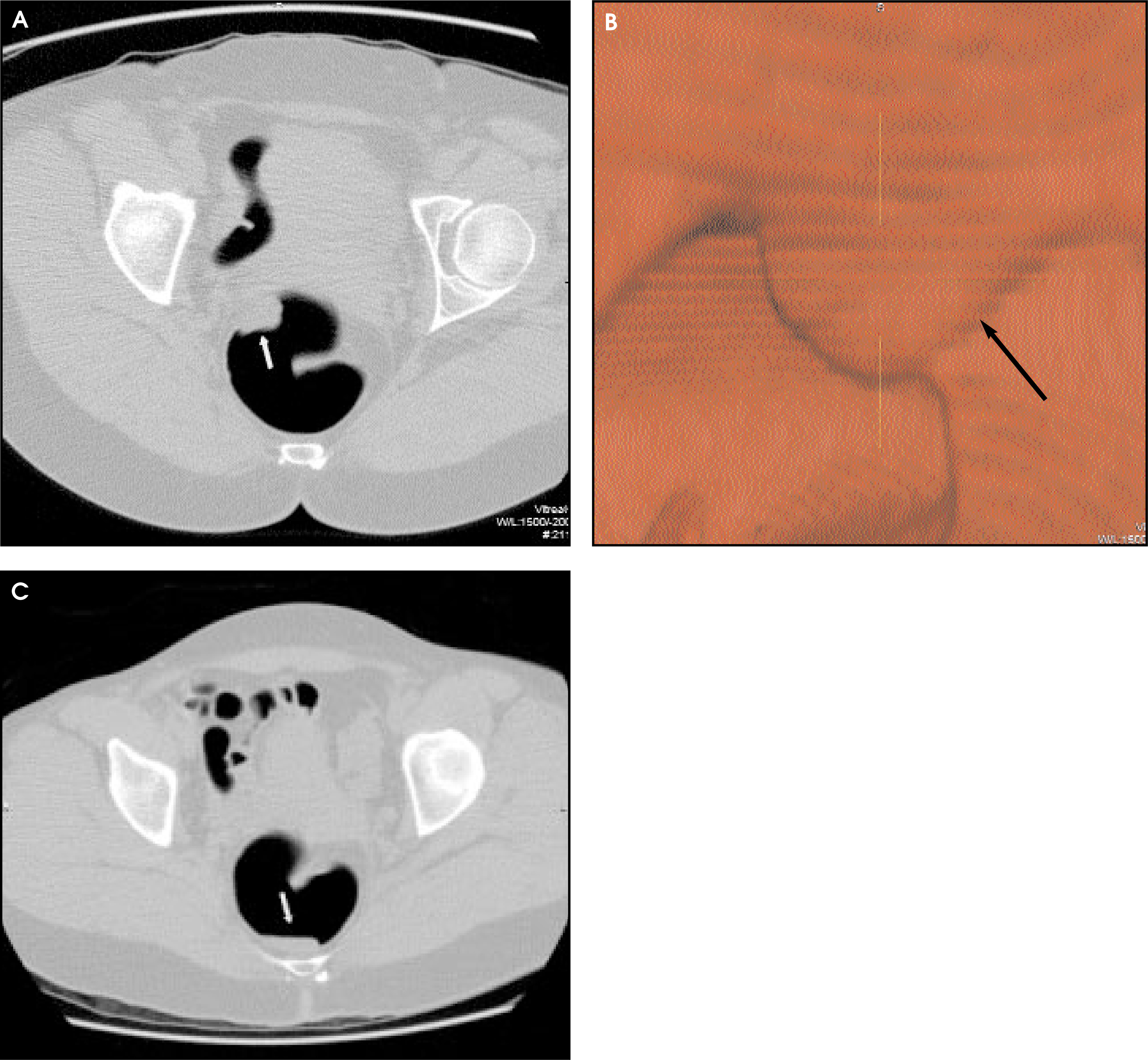 FIGURE 4.