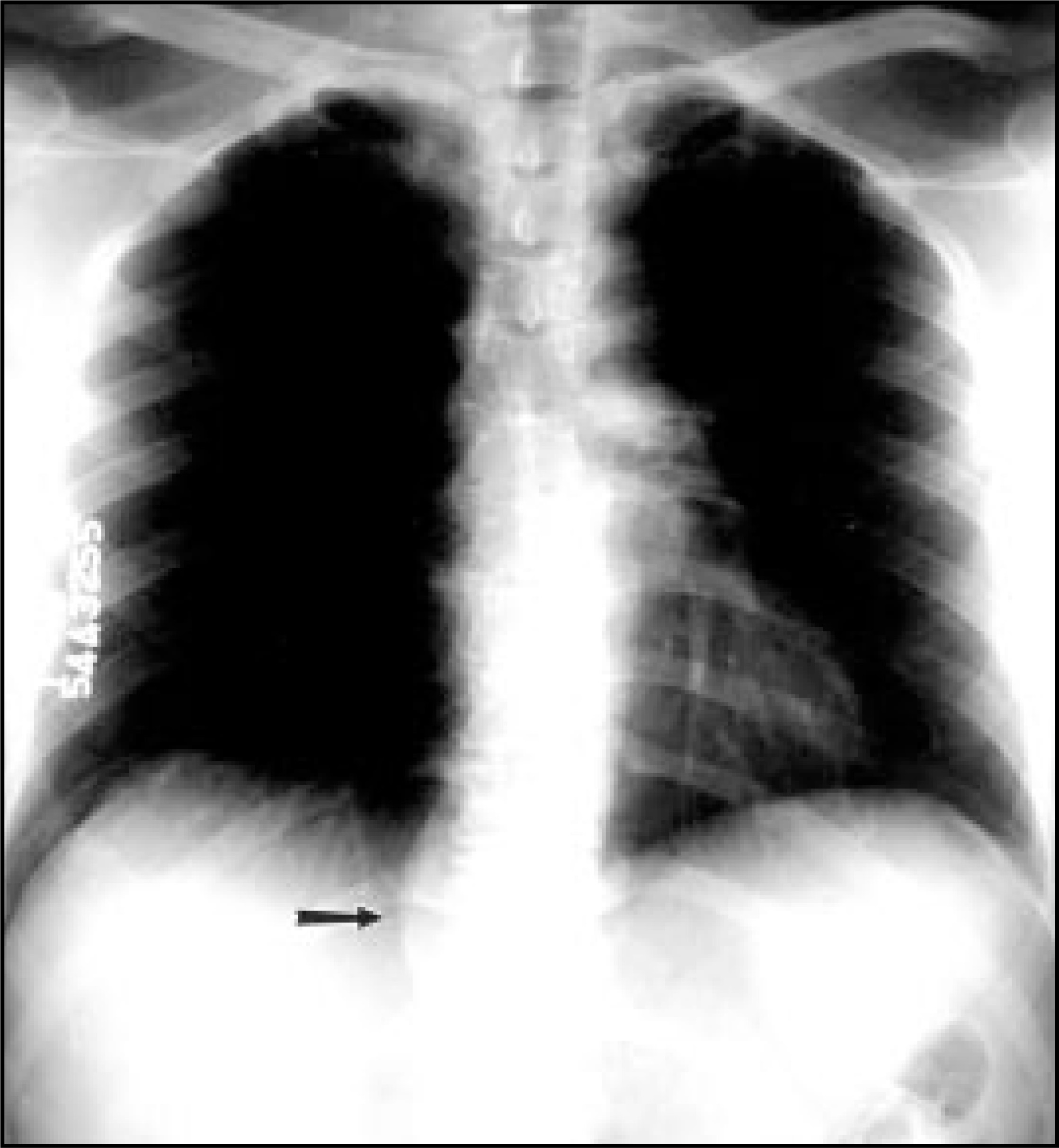 FIGURE 1.