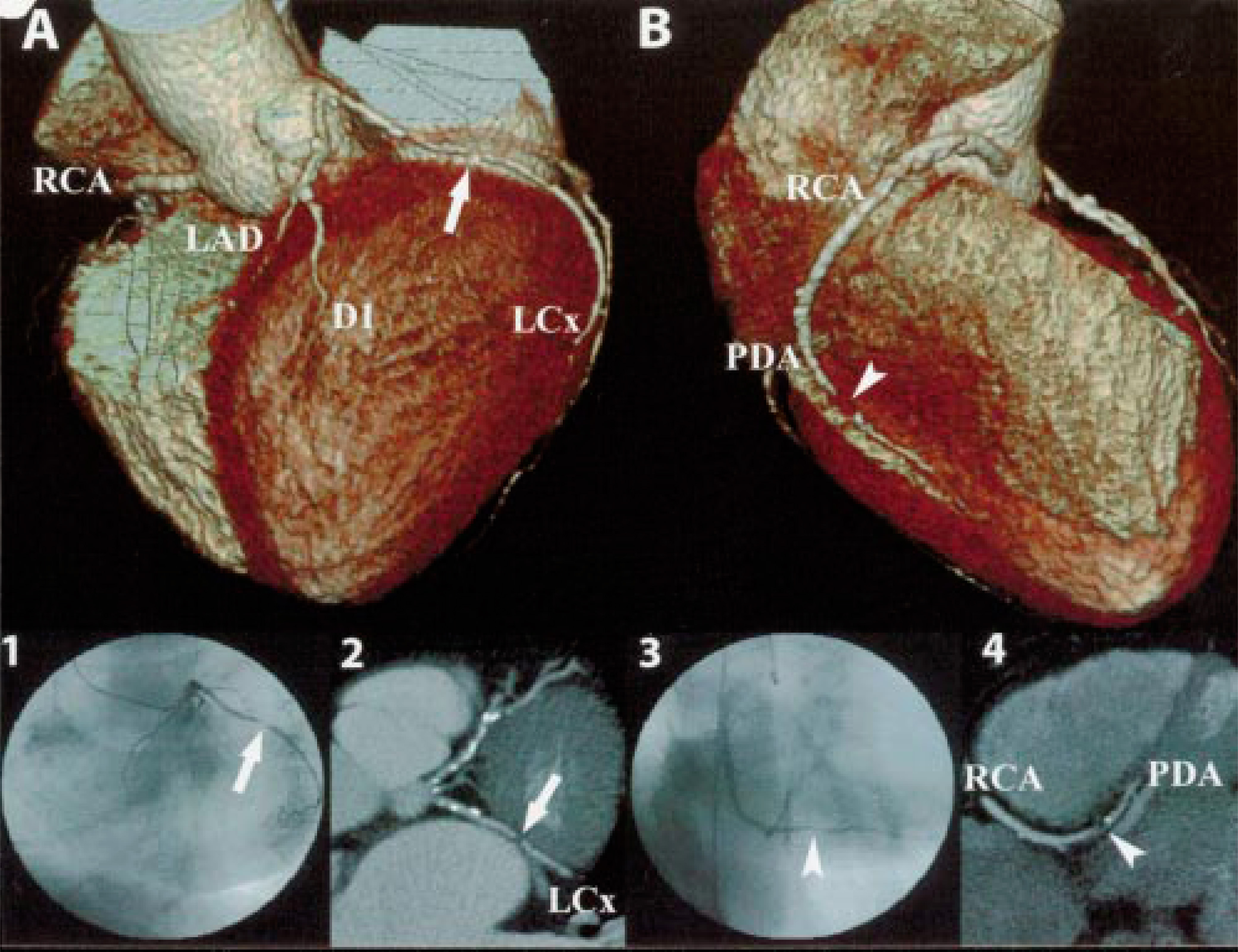 FIGURE 1.