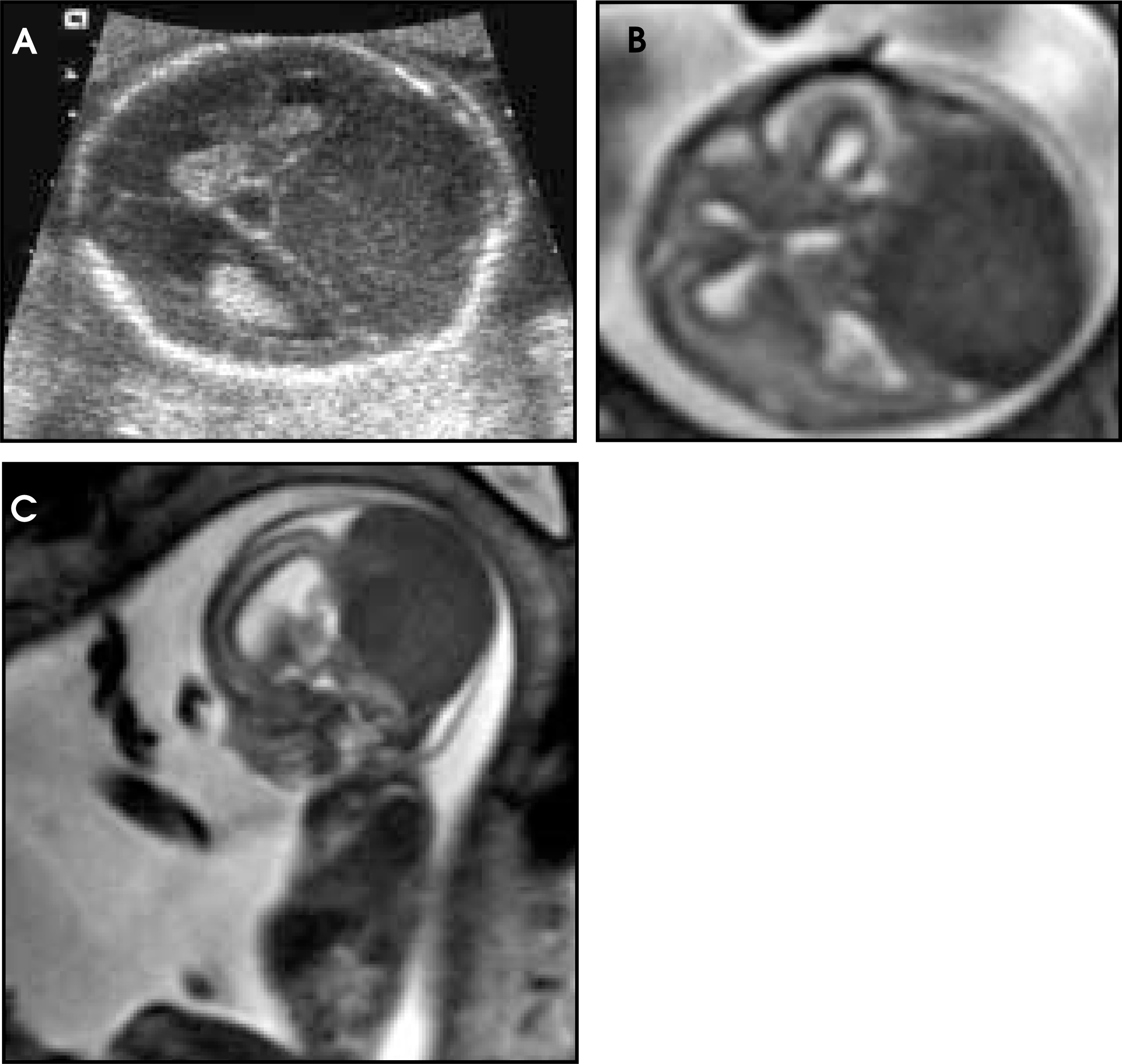 FIGURE 7.