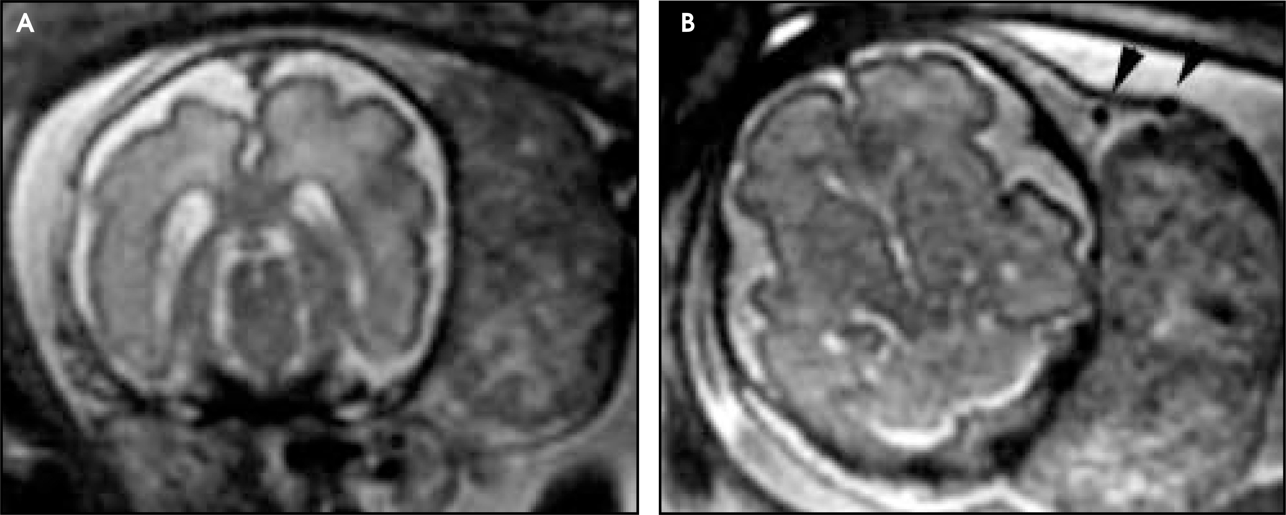 FIGURE 10.