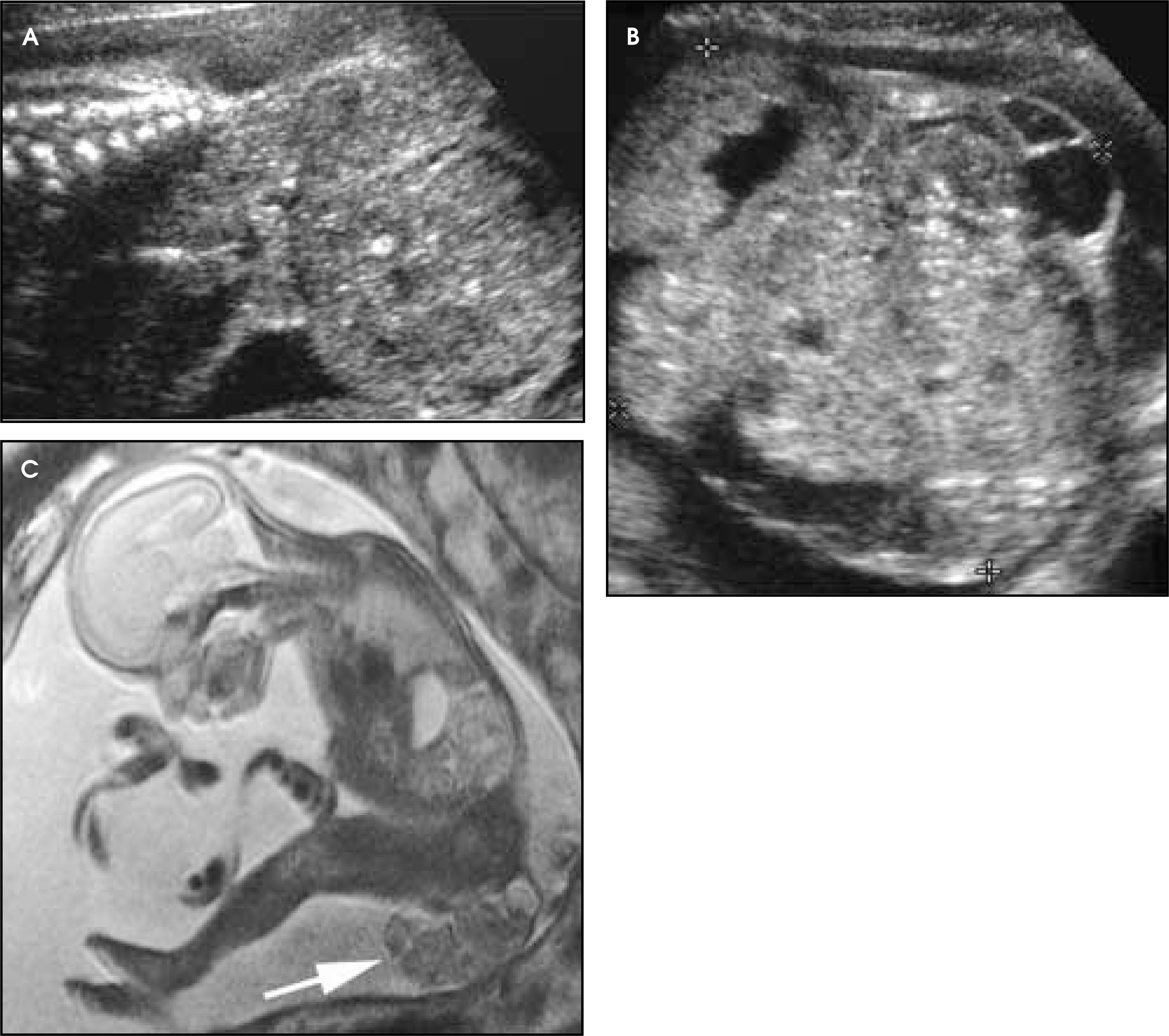 FIGURE 12.