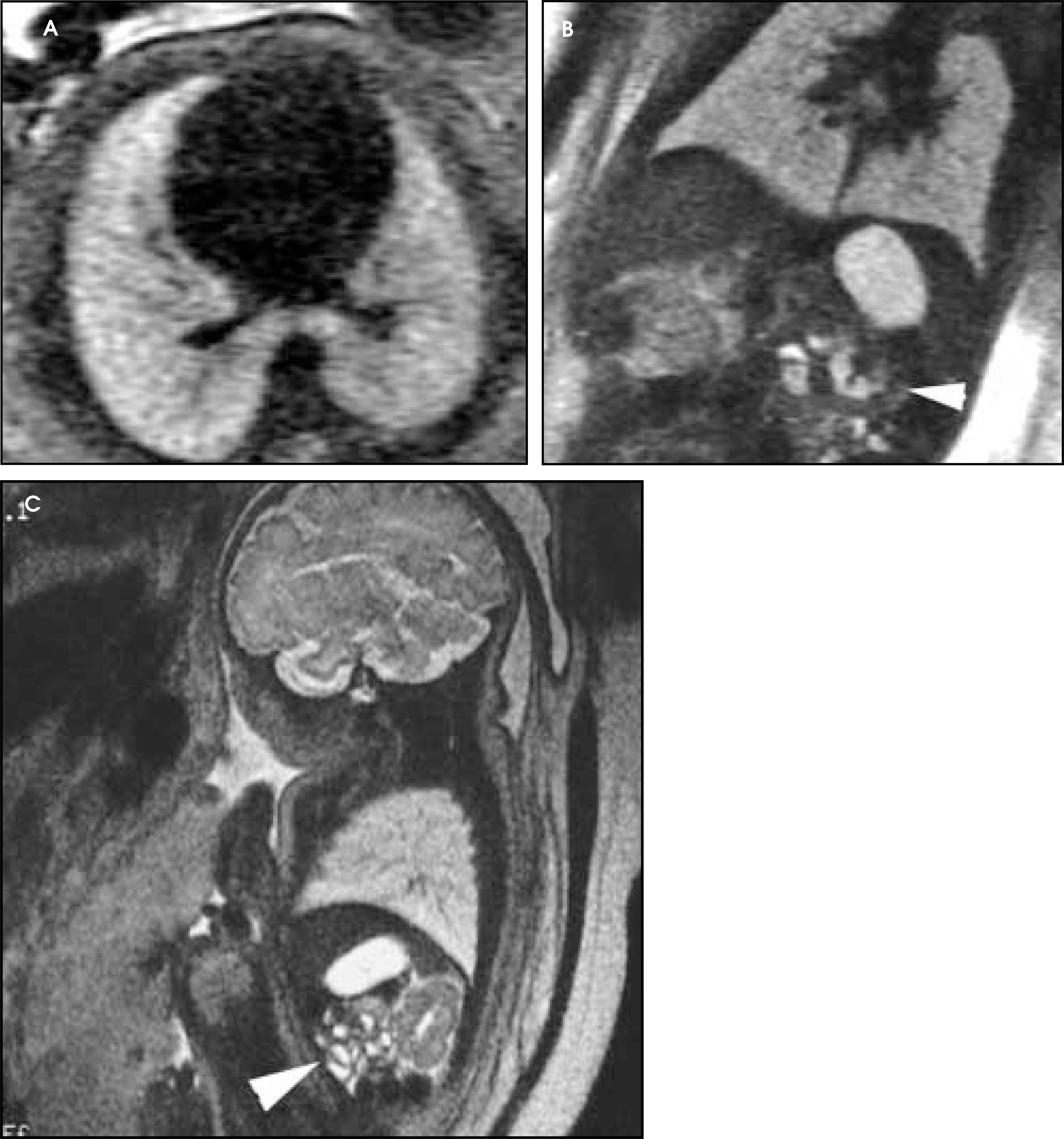 FIGURE 14.
