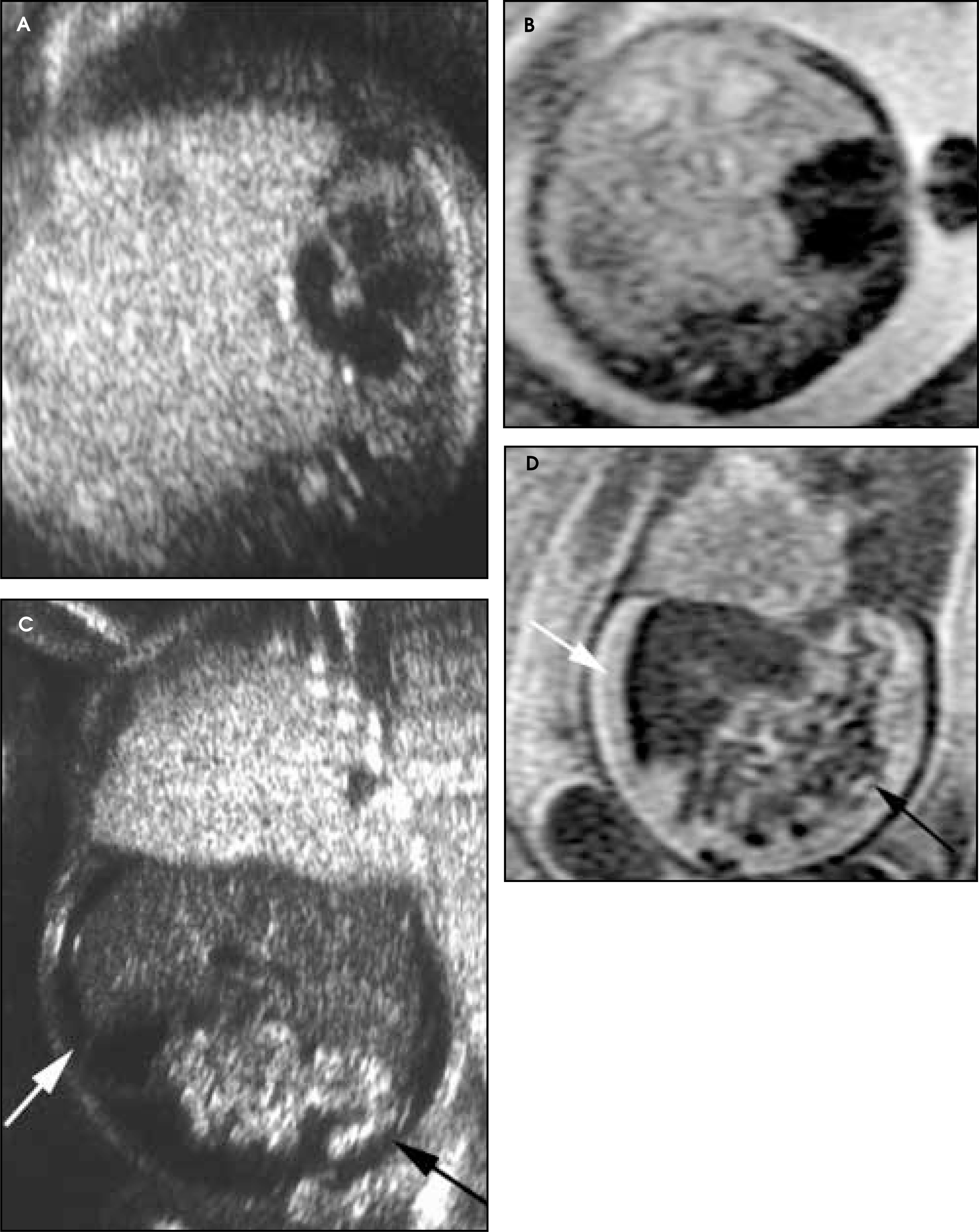 FIGURE 15.