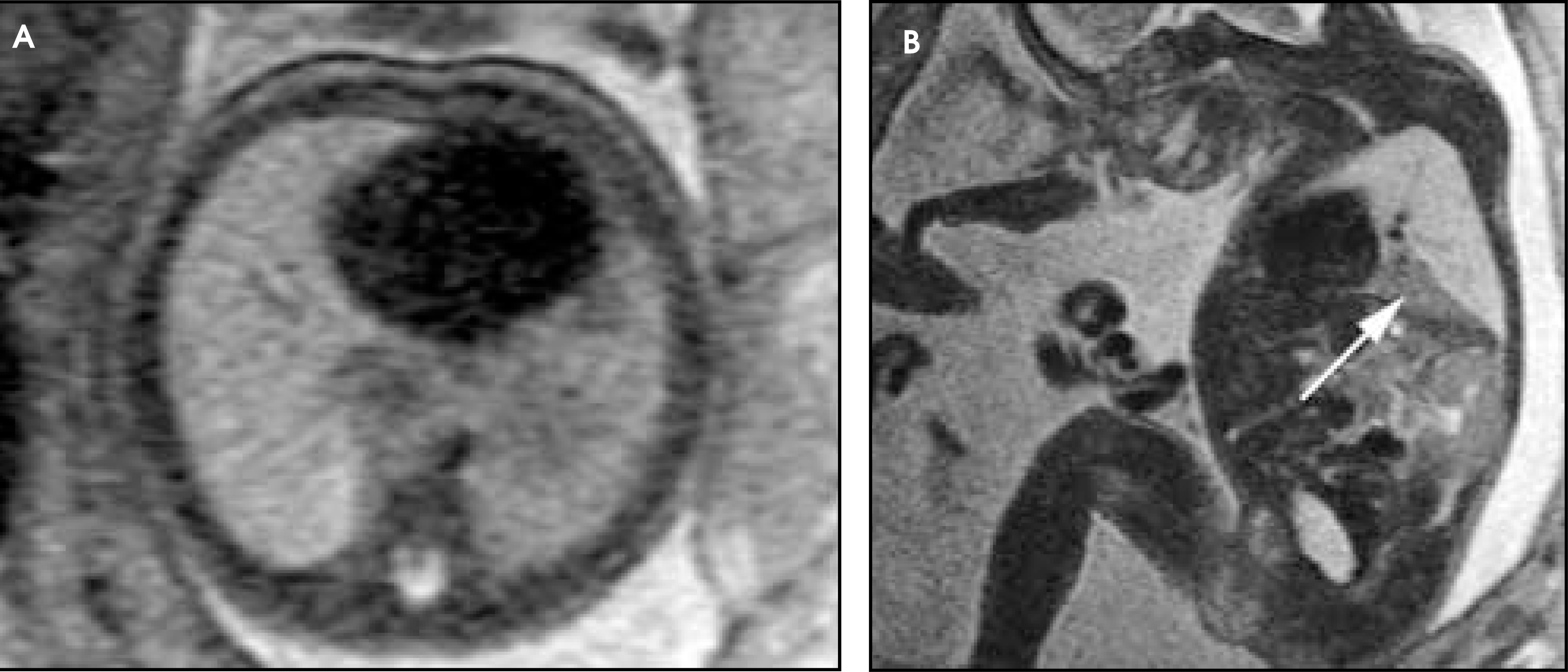 FIGURE 16.