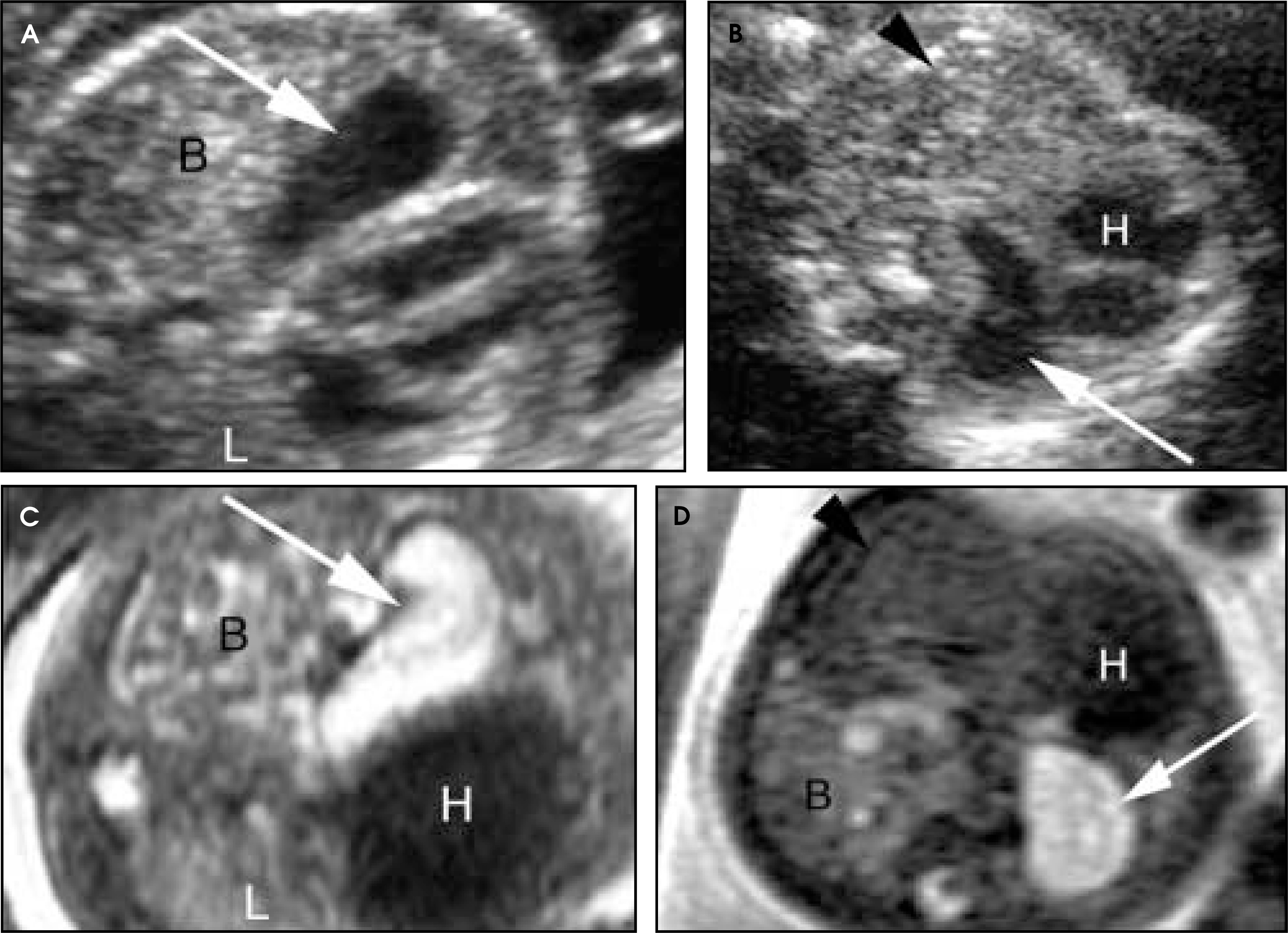 FIGURE 17.