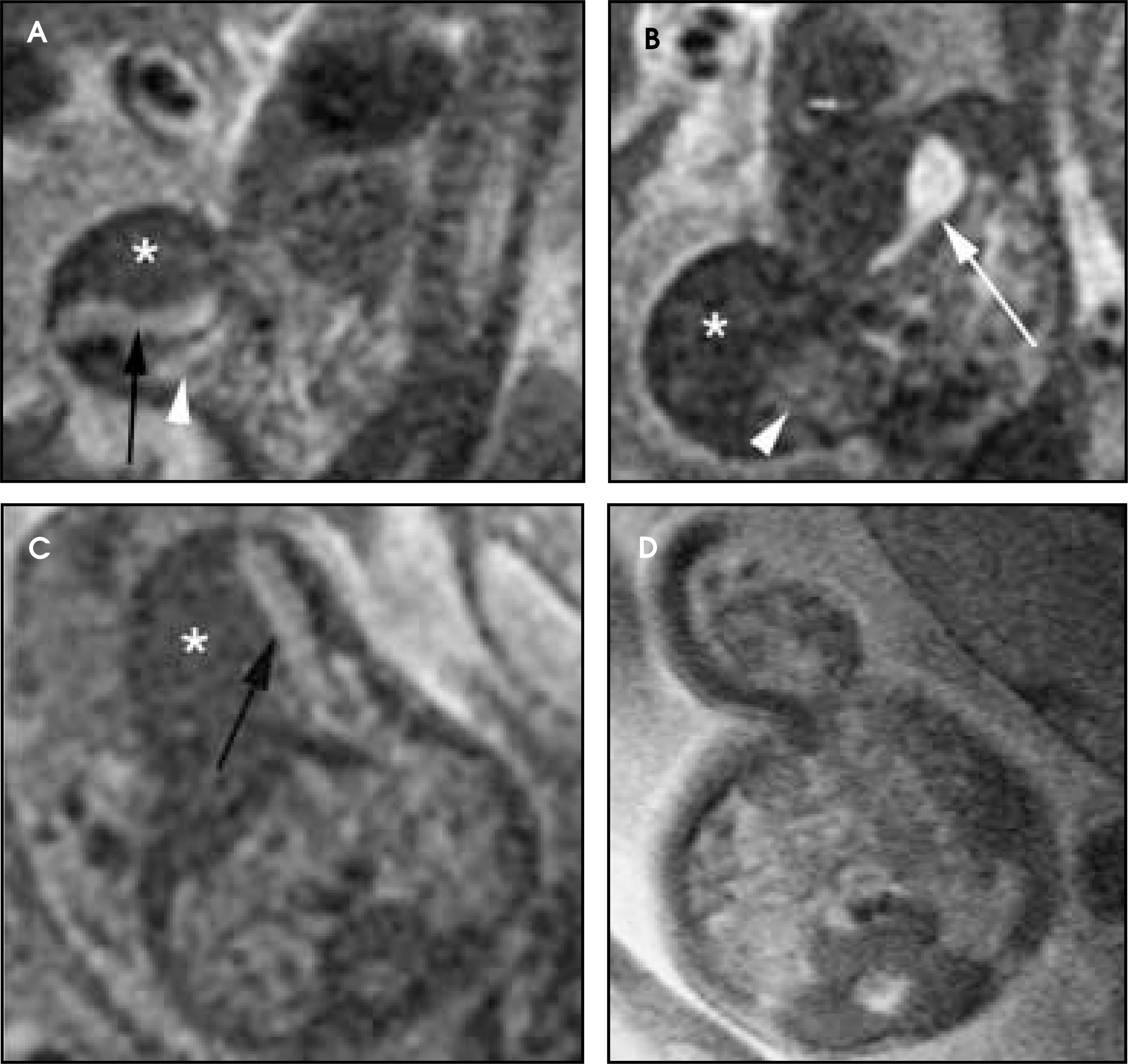 FIGURE 19.