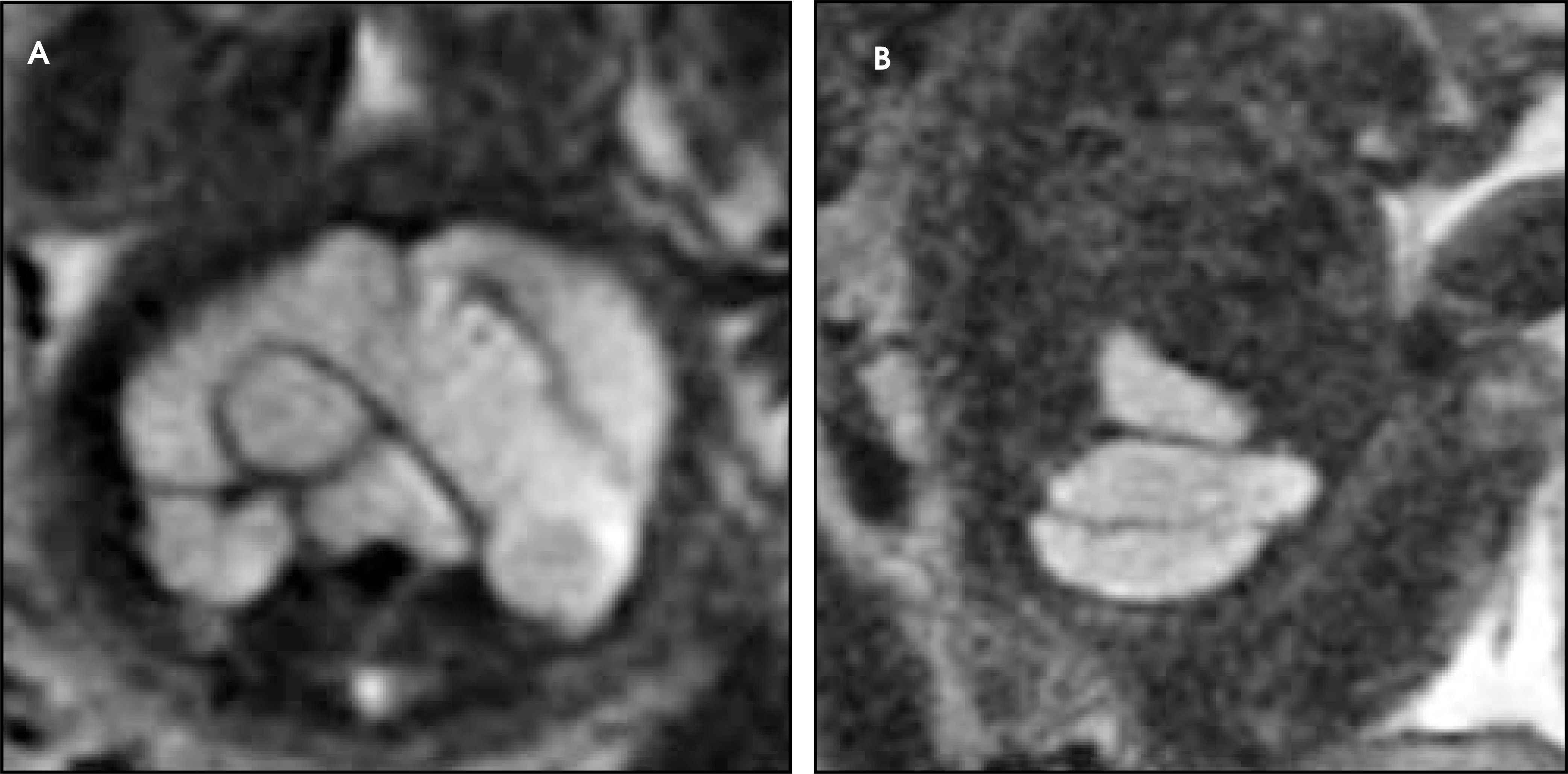 FIGURE 20.