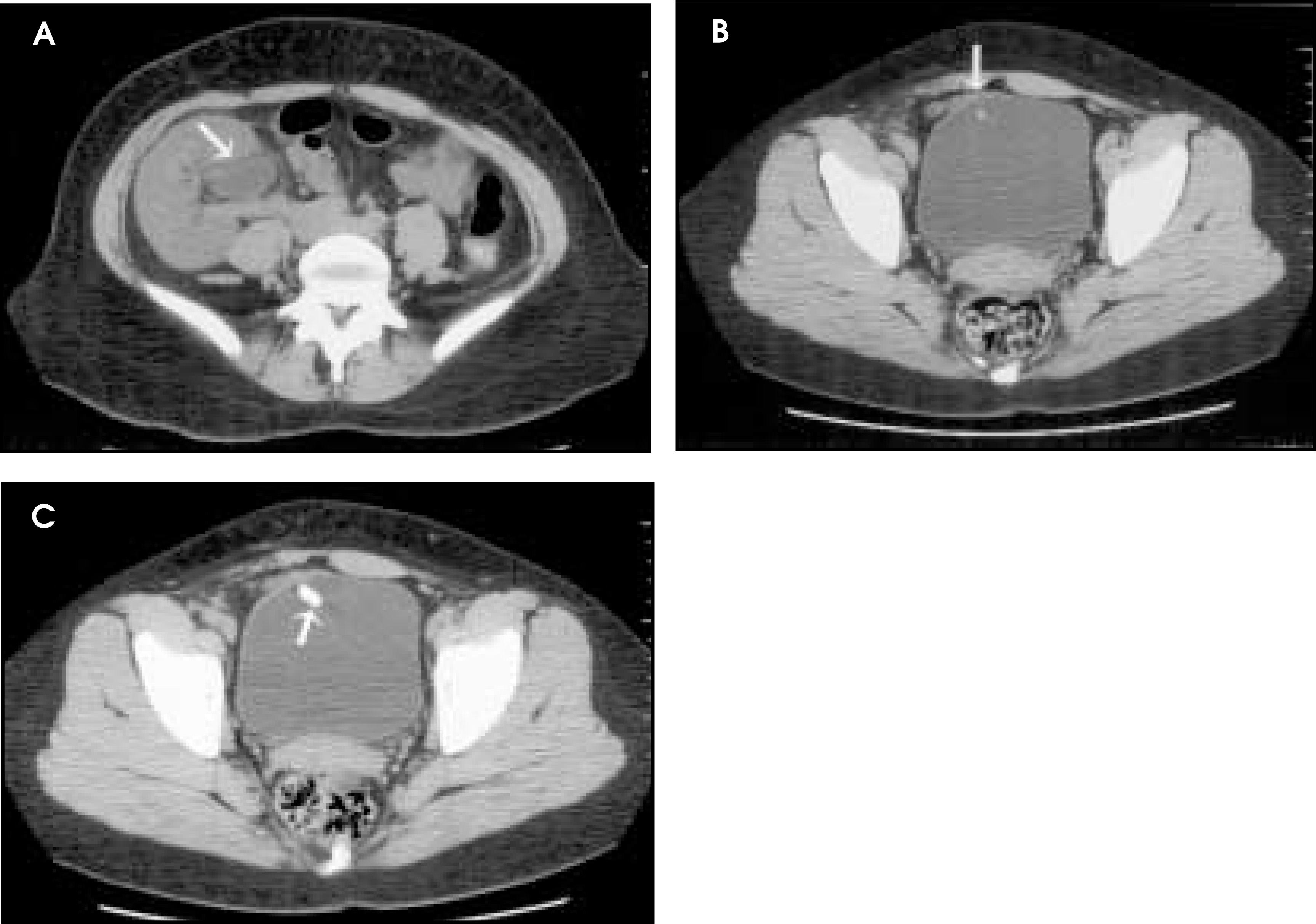 FIGURE 1.