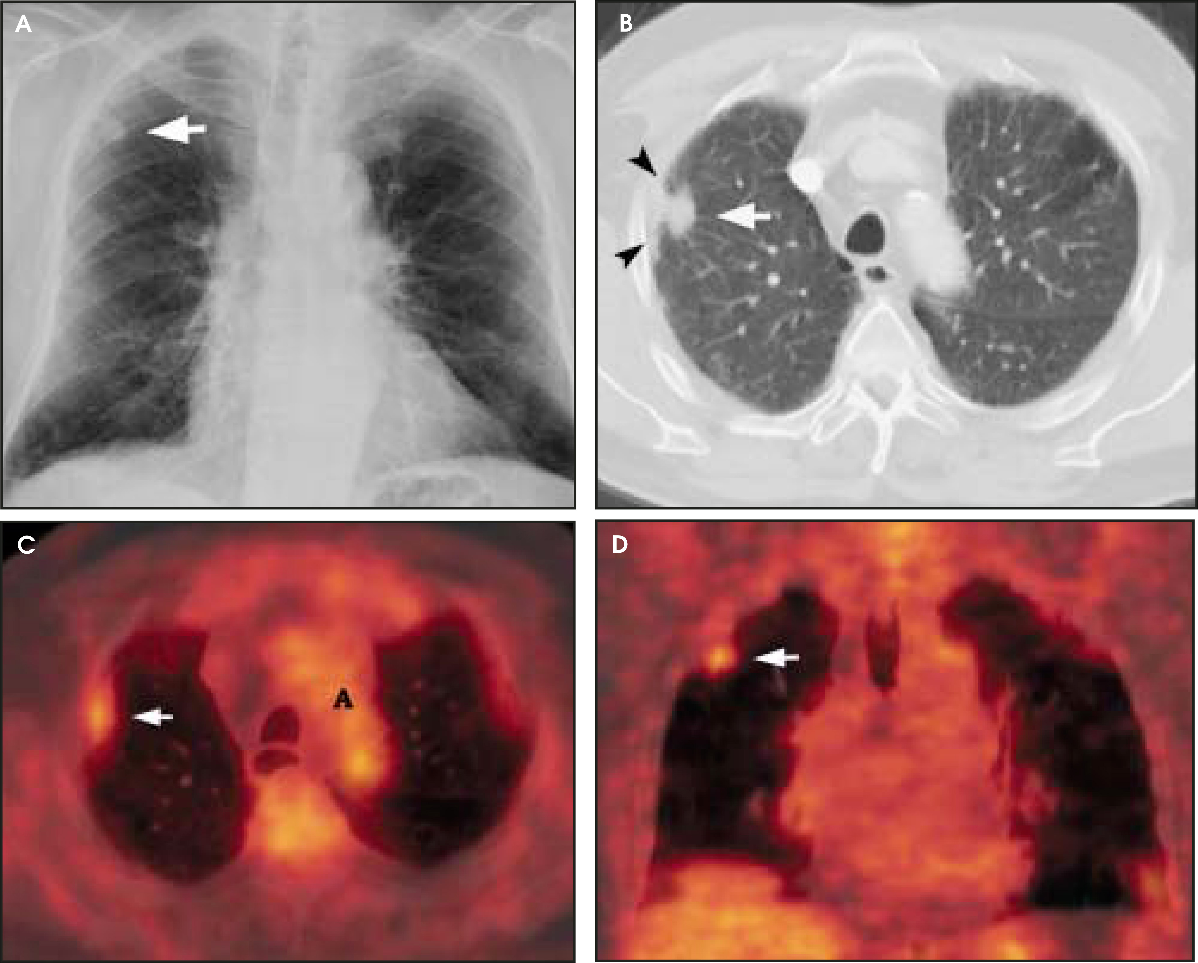 FIGURE 10.