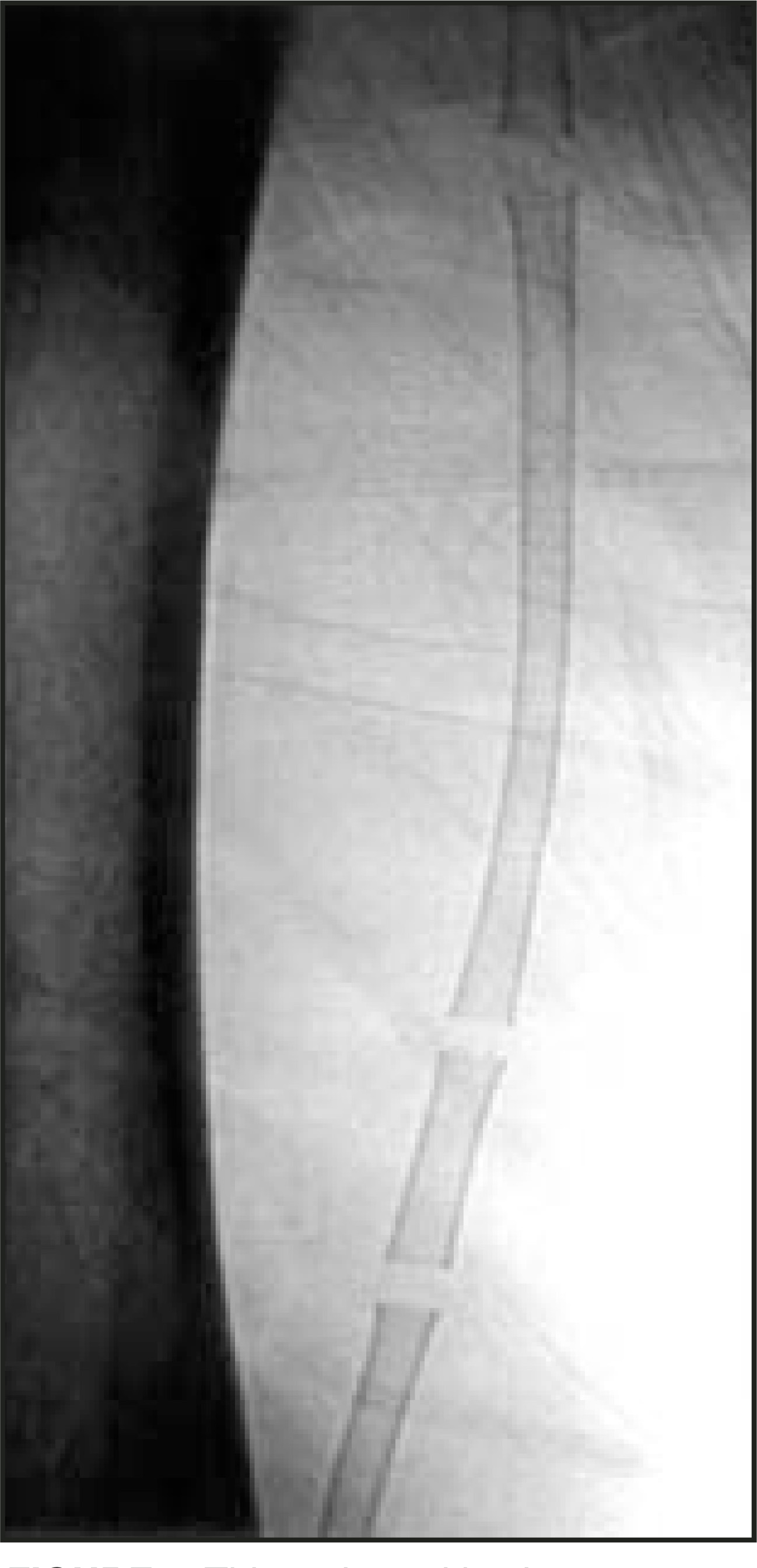FIGURE 1.