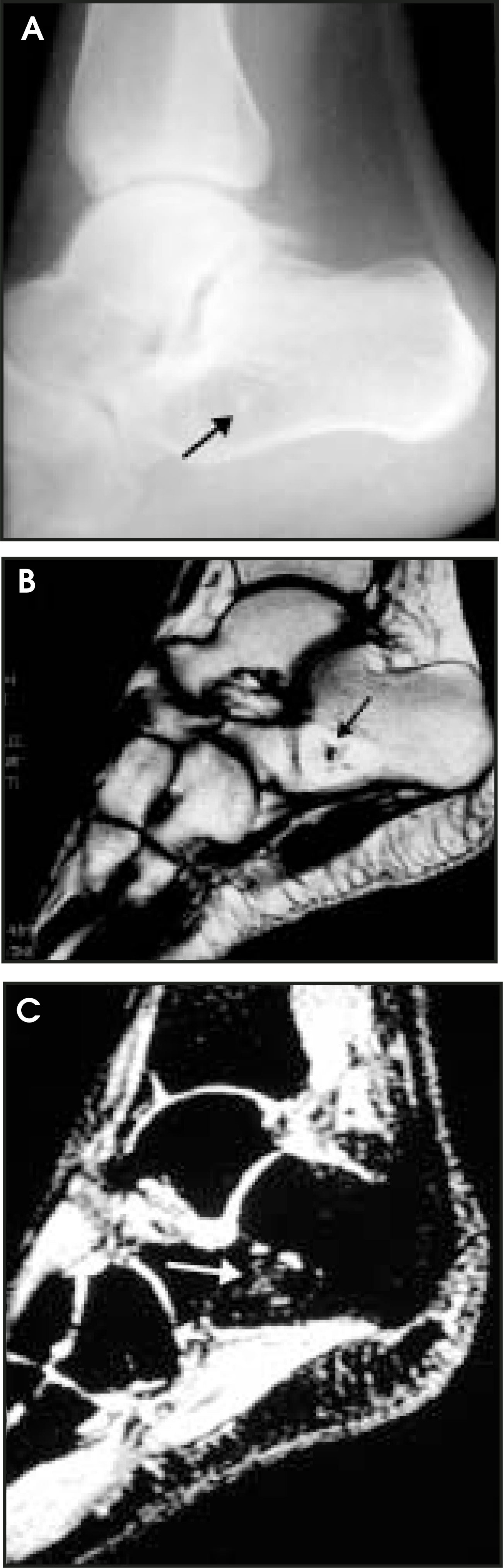 FIGURE 9.
