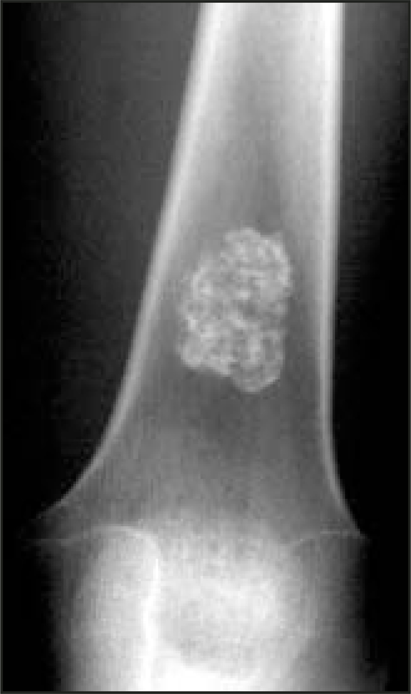 FIGURE 10.