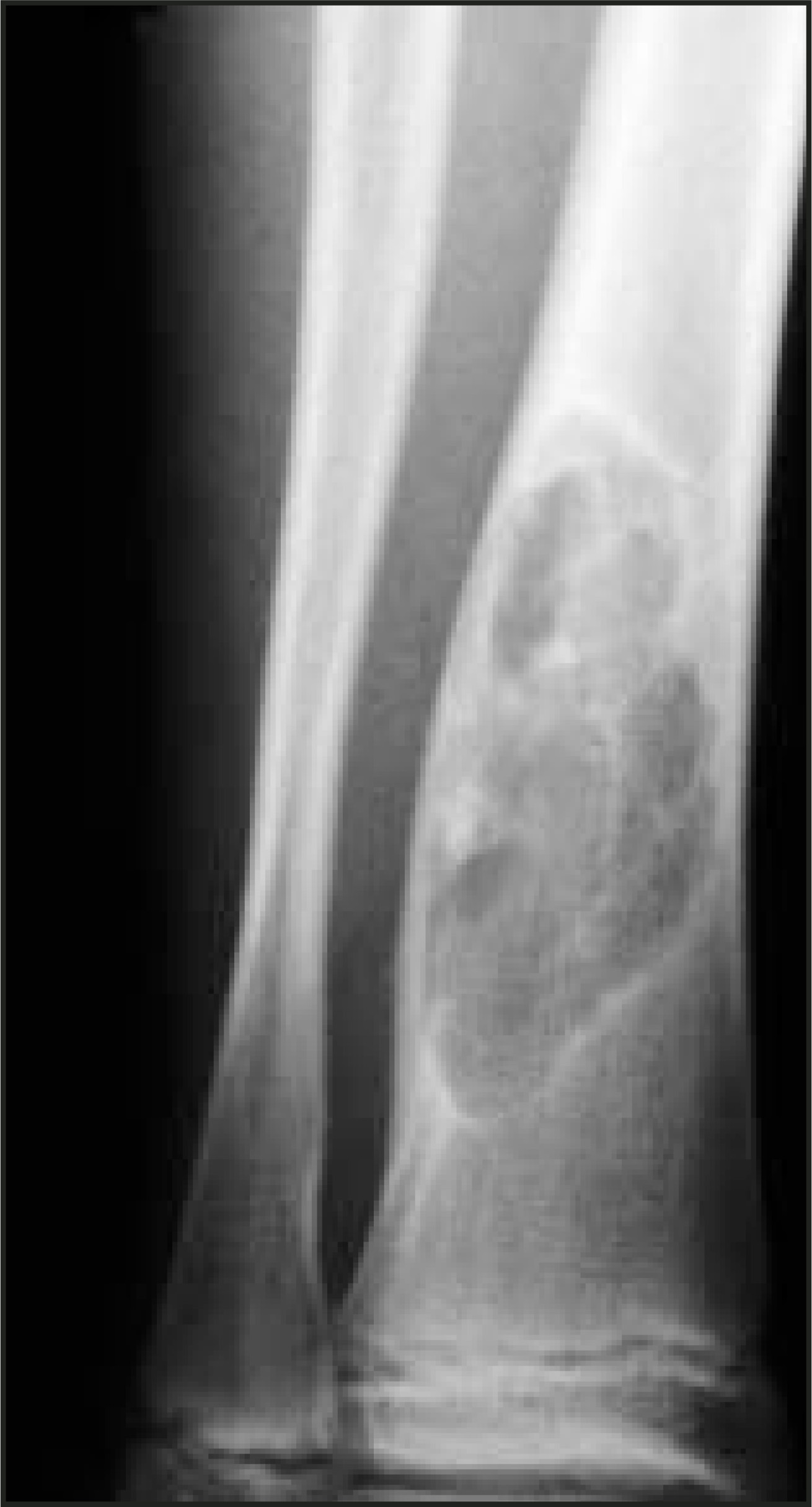 FIGURE 12.