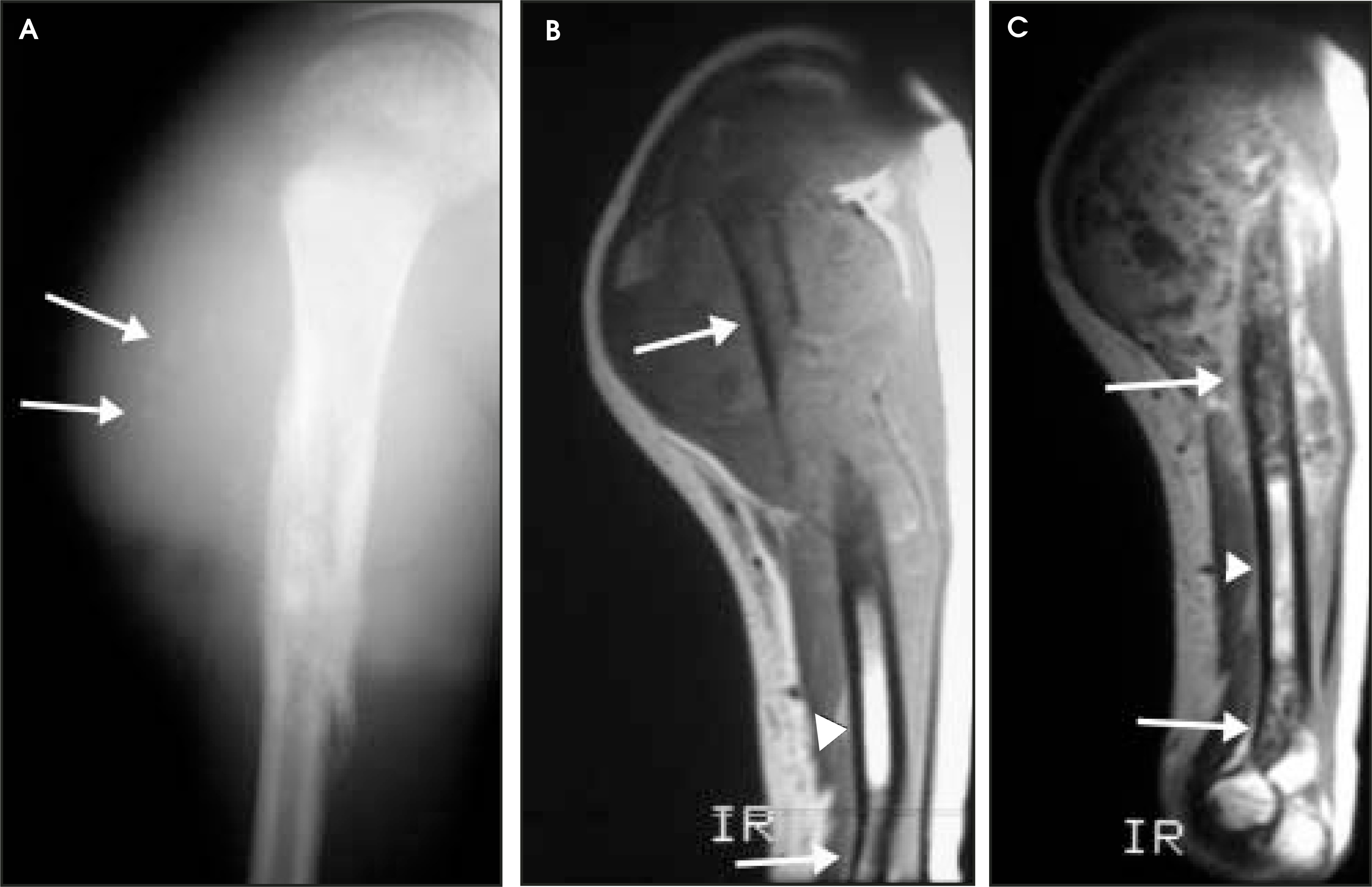 FIGURE 17.