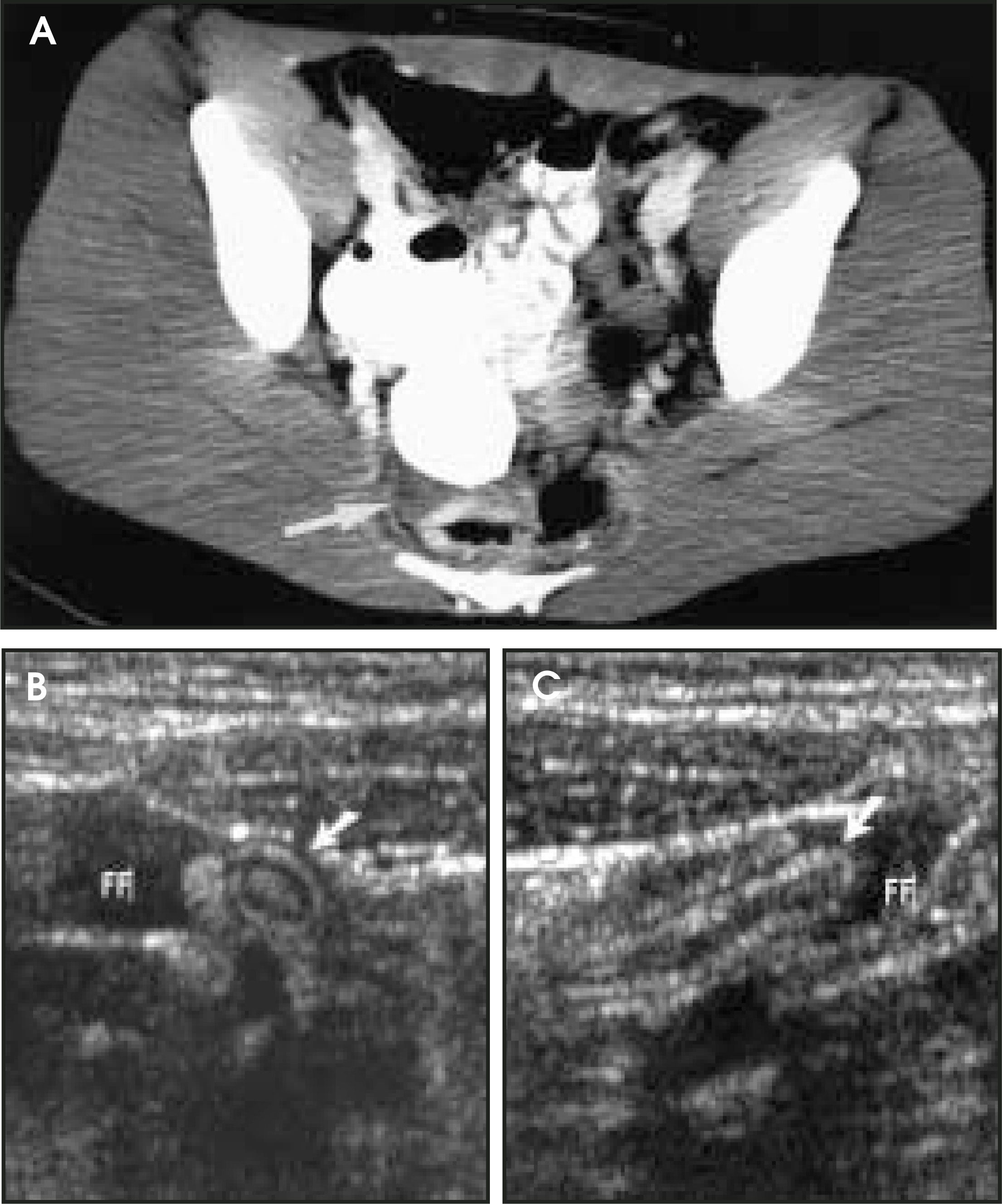 FIGURE 1.