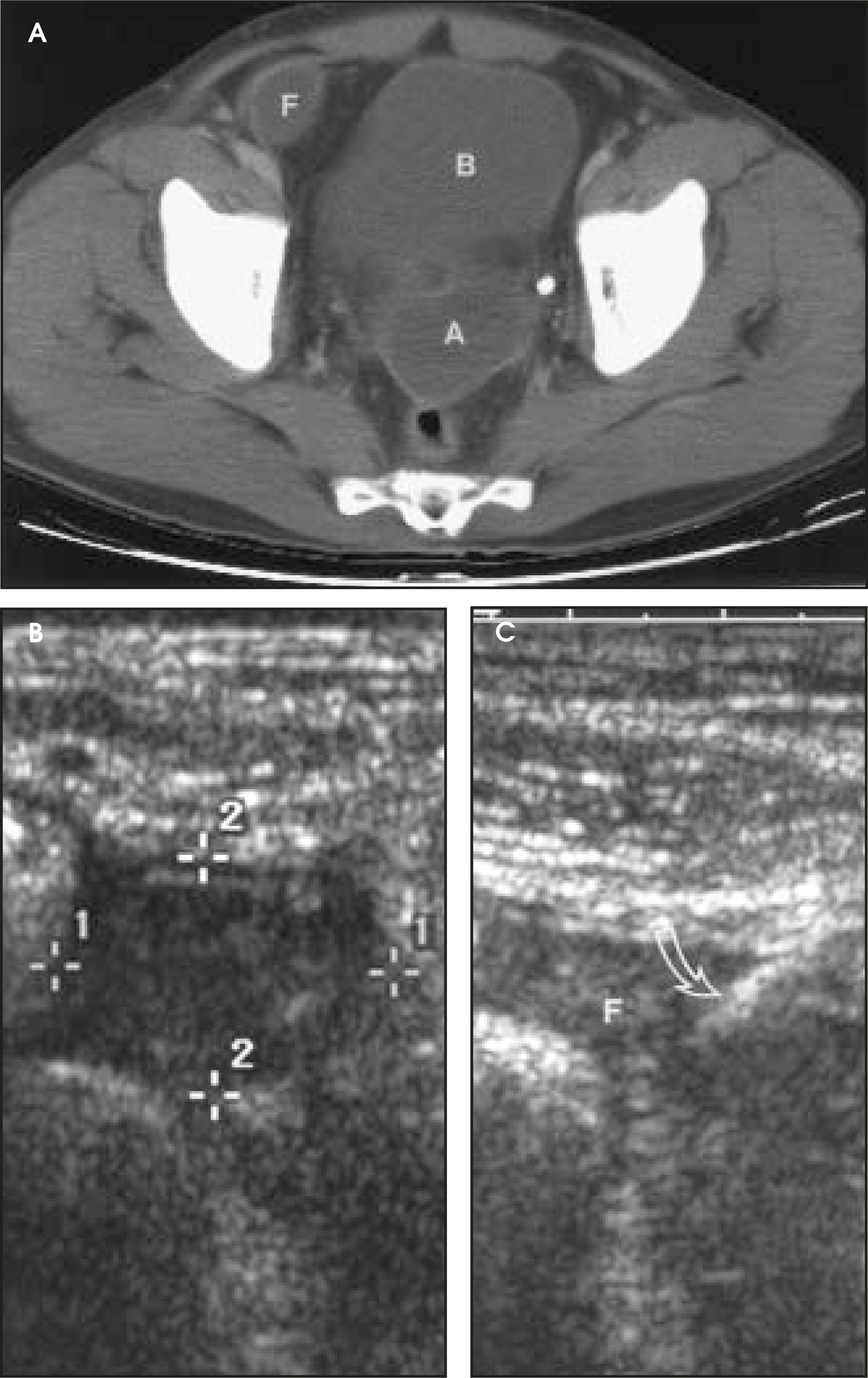 FIGURE 10.