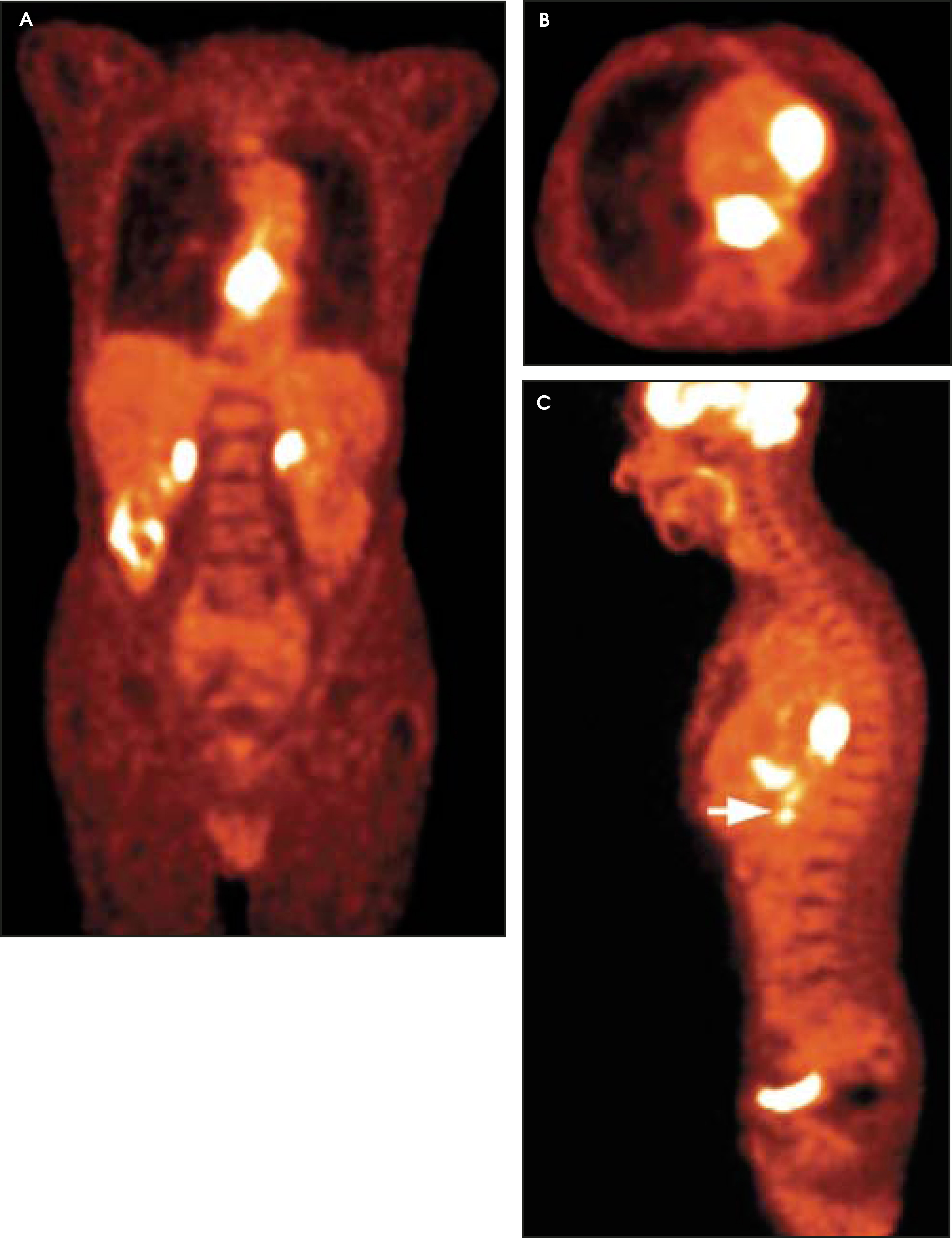 FIGURE 1.