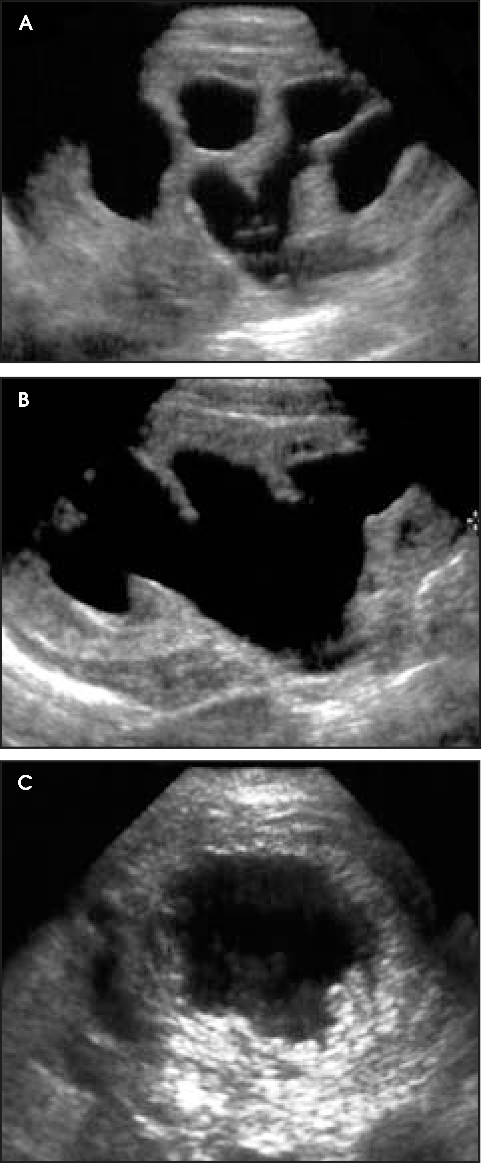 FIGURE 1.