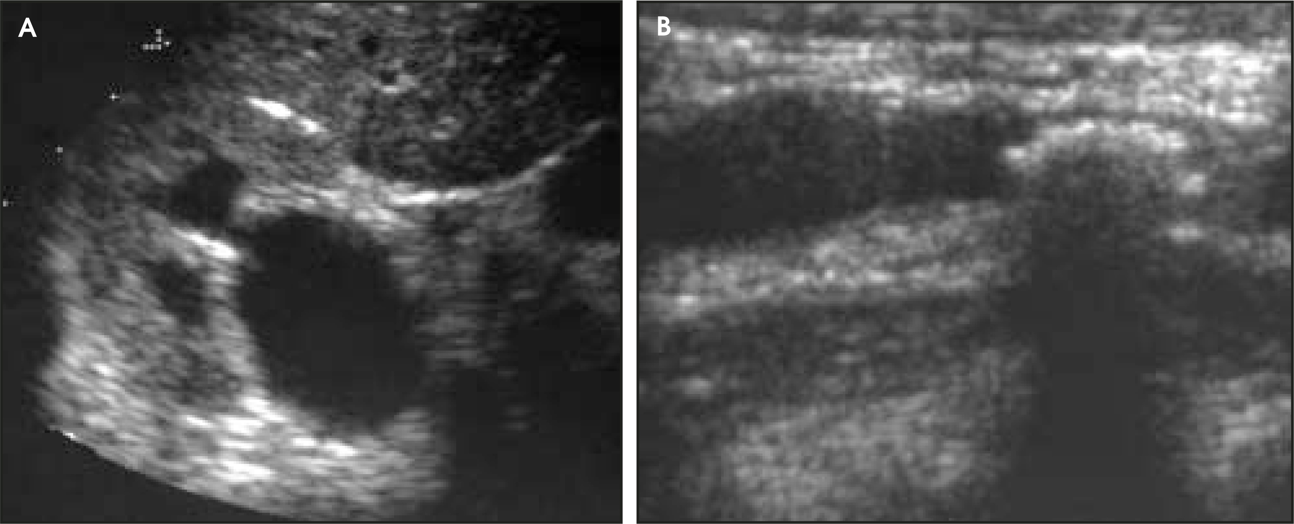 FIGURE 7.
