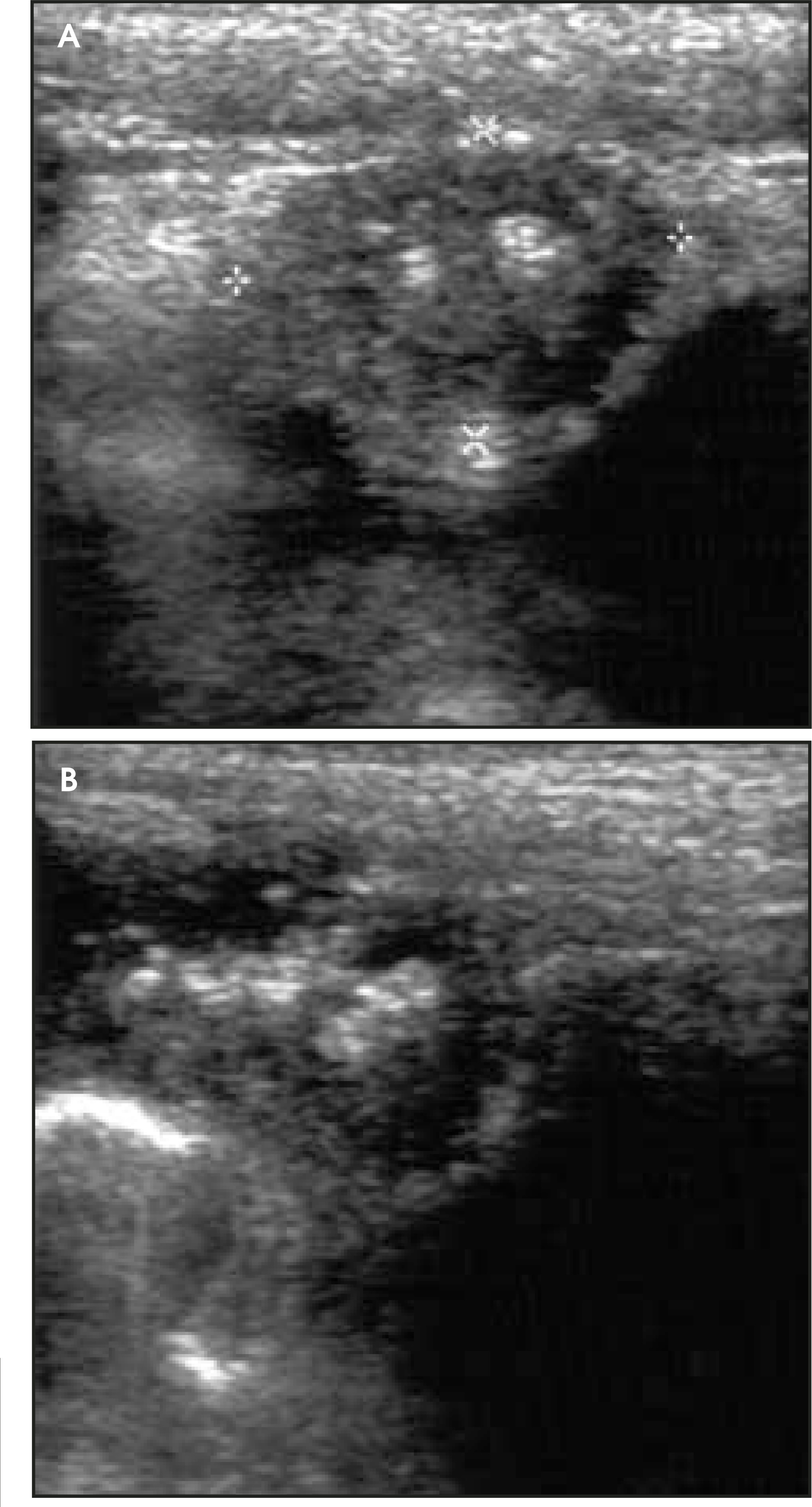 FIGURE 10.