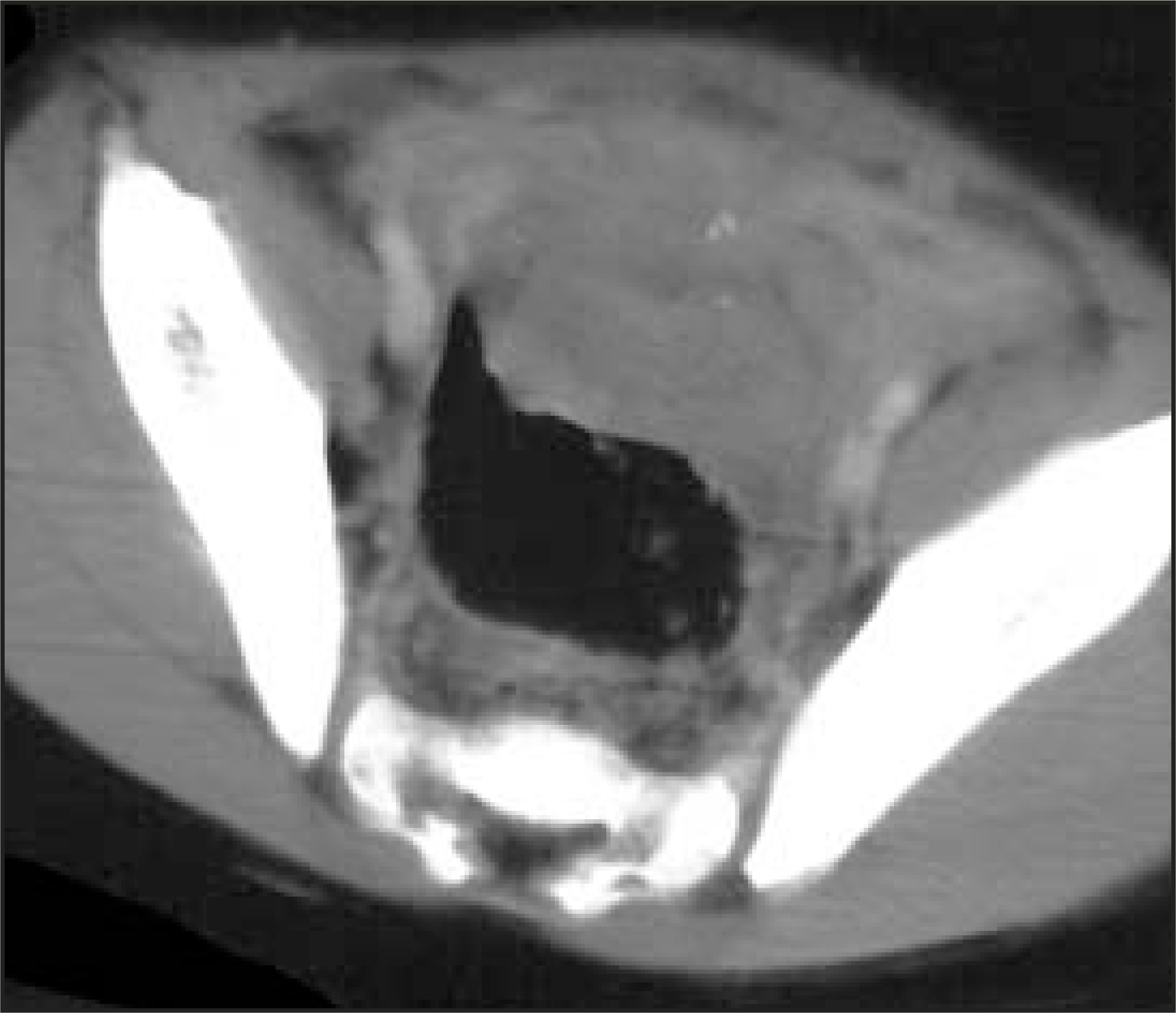 FIGURE 12.