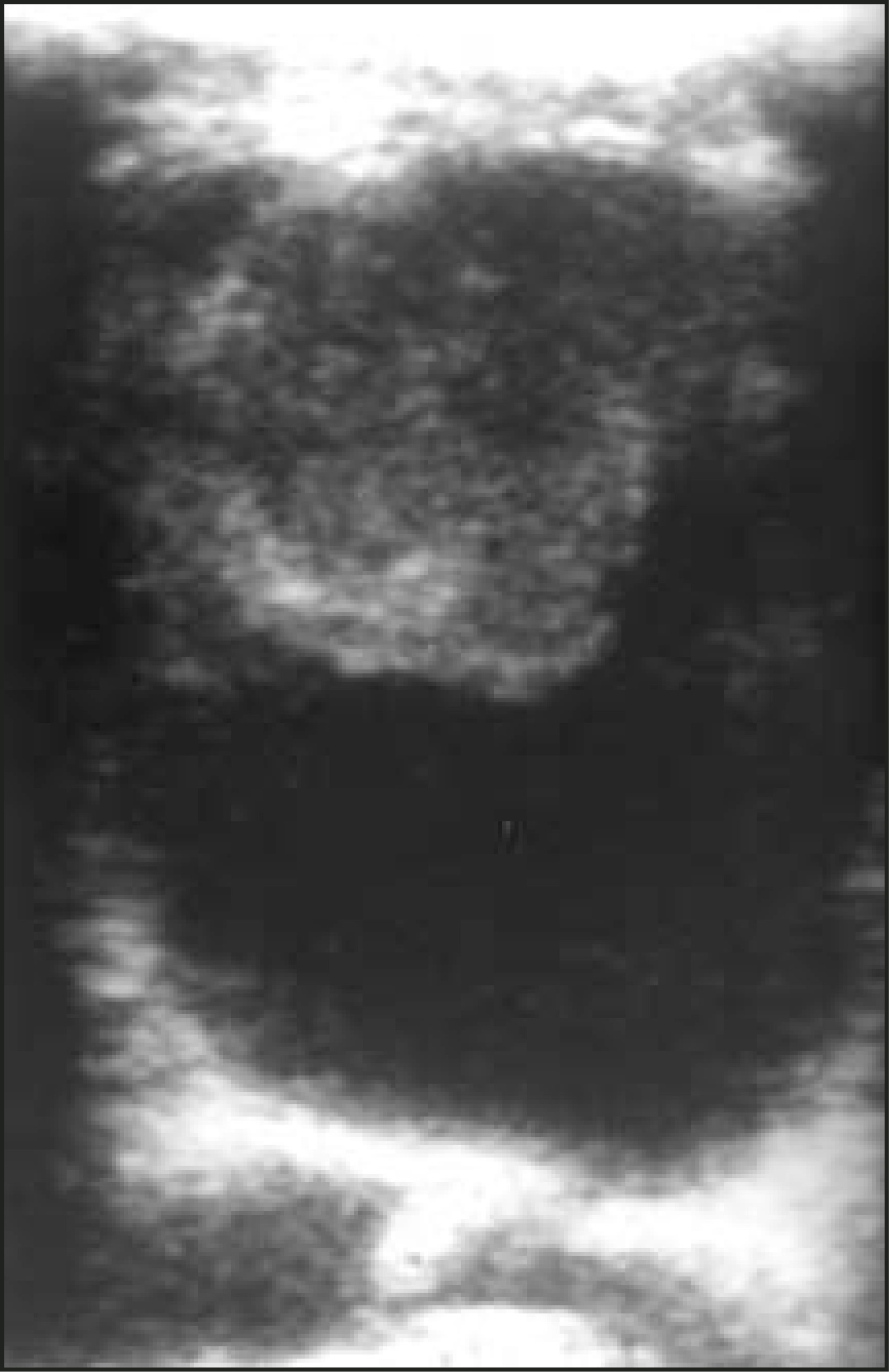 FIGURE 13.