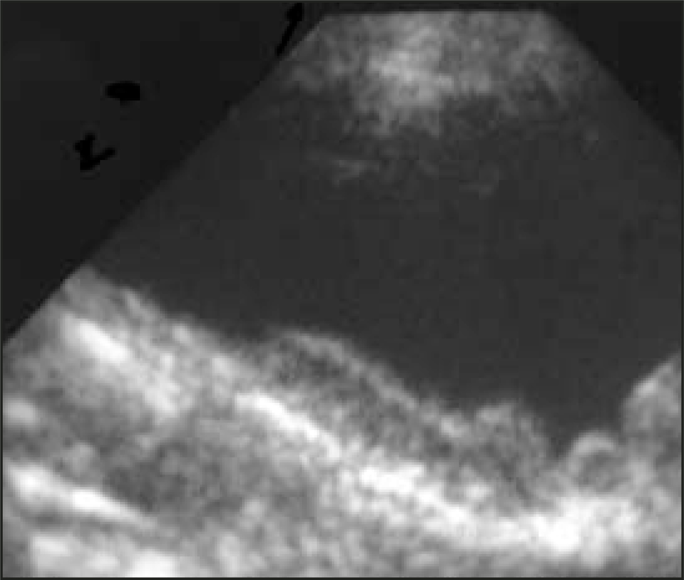 FIGURE 14.