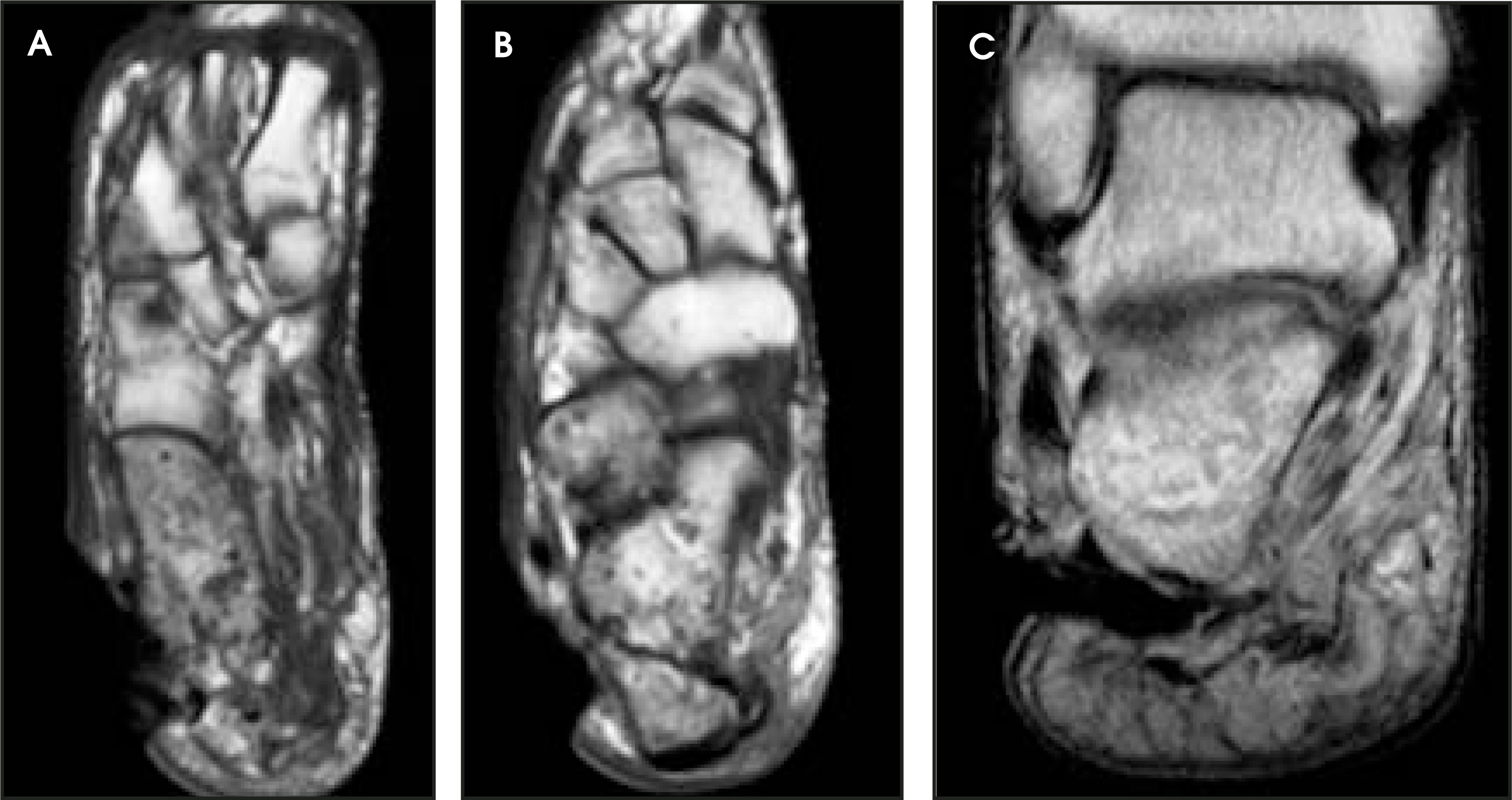FIGURE 3.