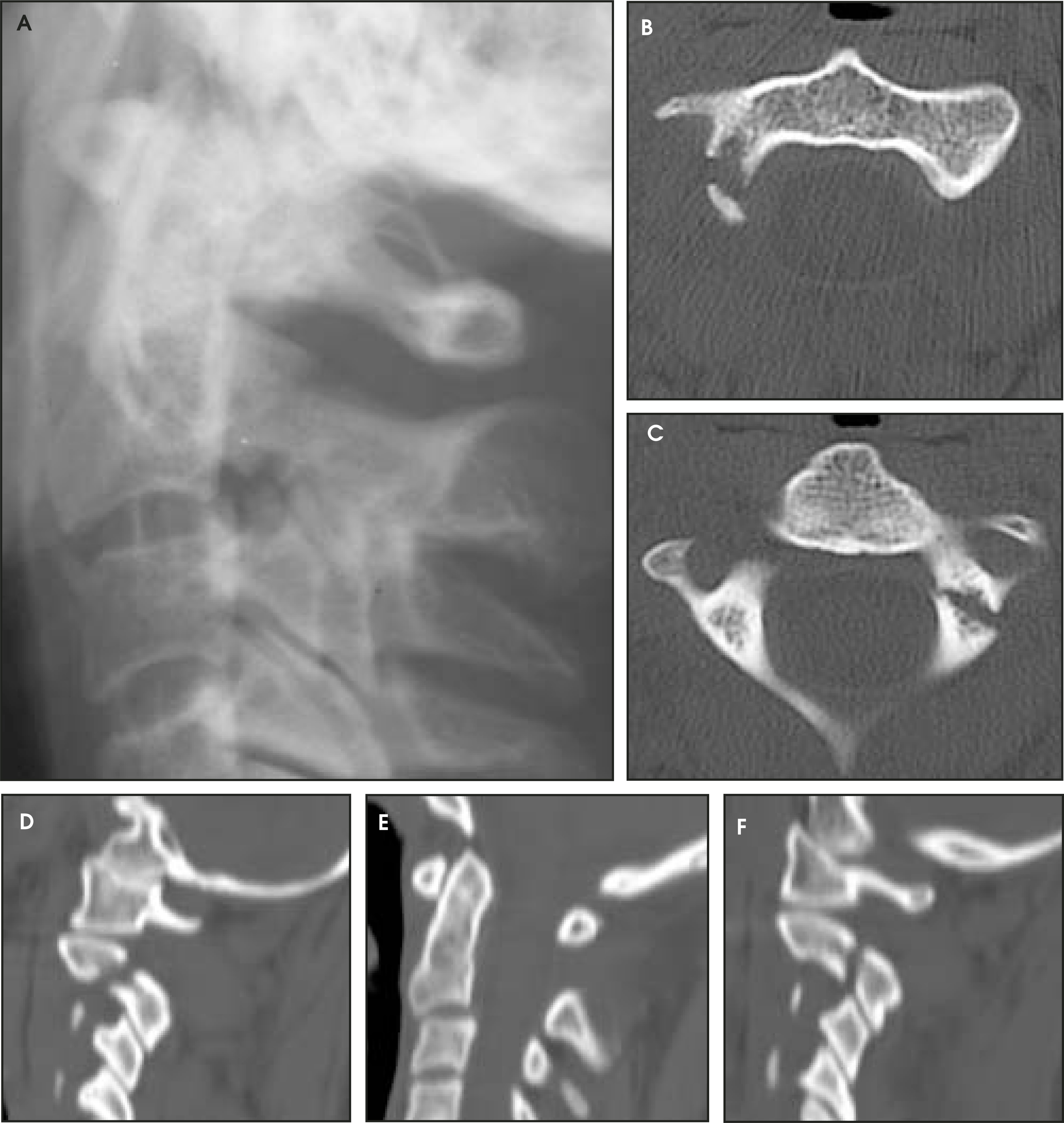 FIGURE 2.