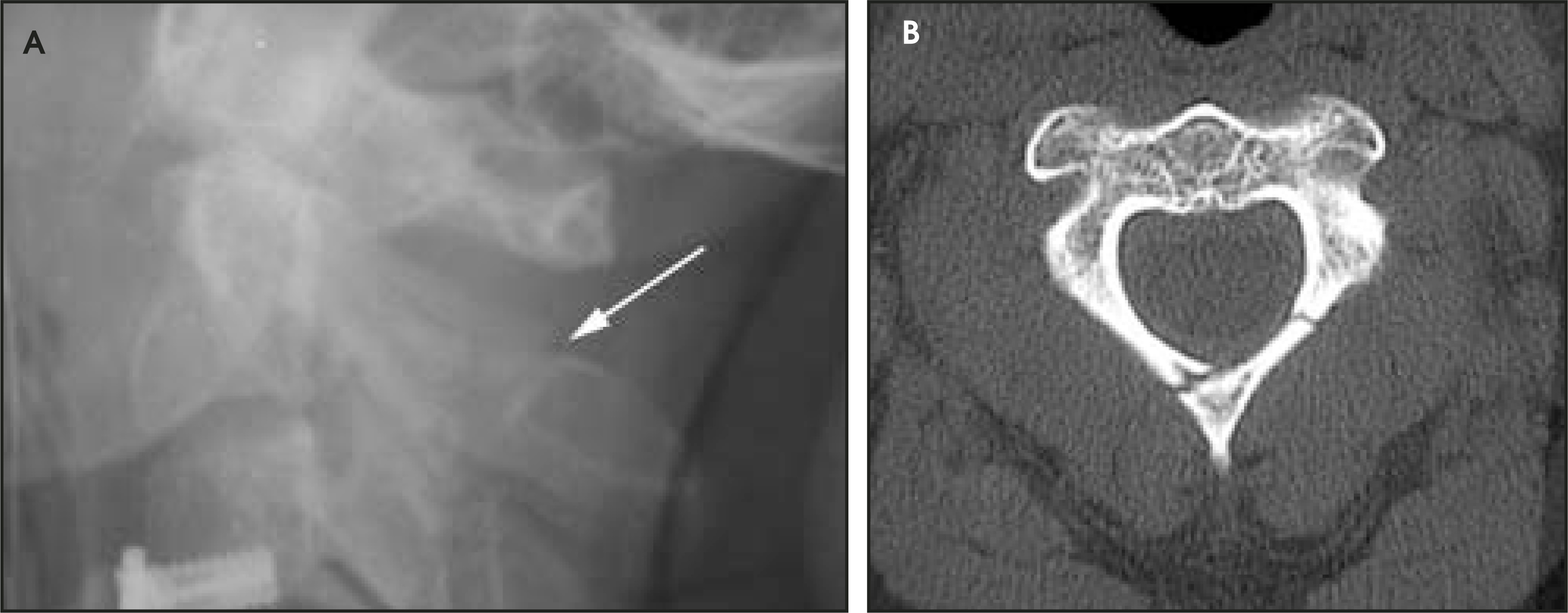 FIGURE 8.