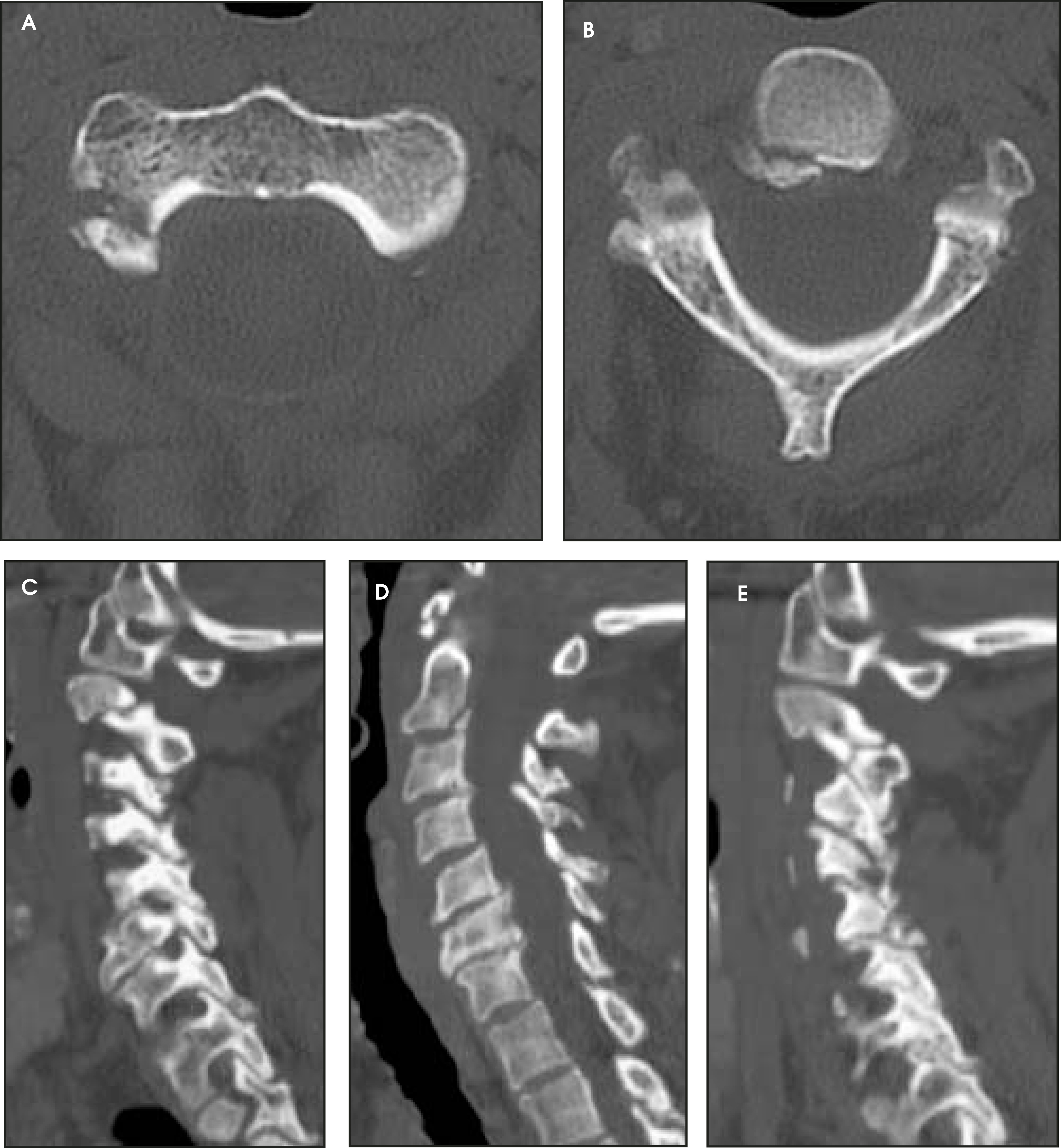FIGURE 12.