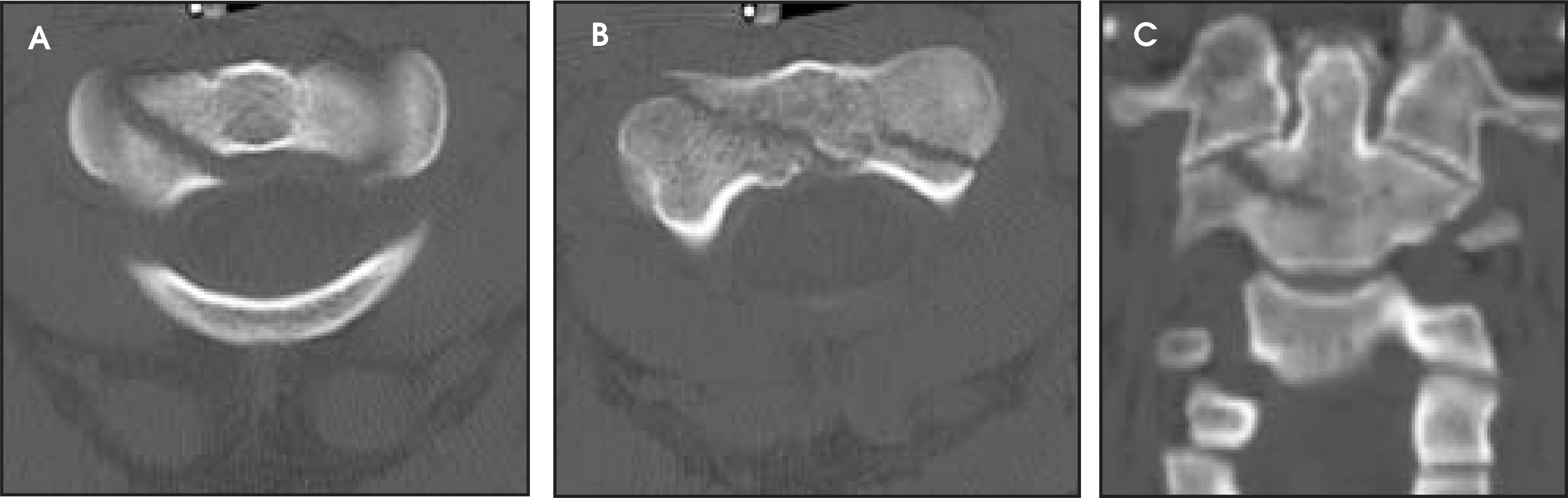 FIGURE 15.