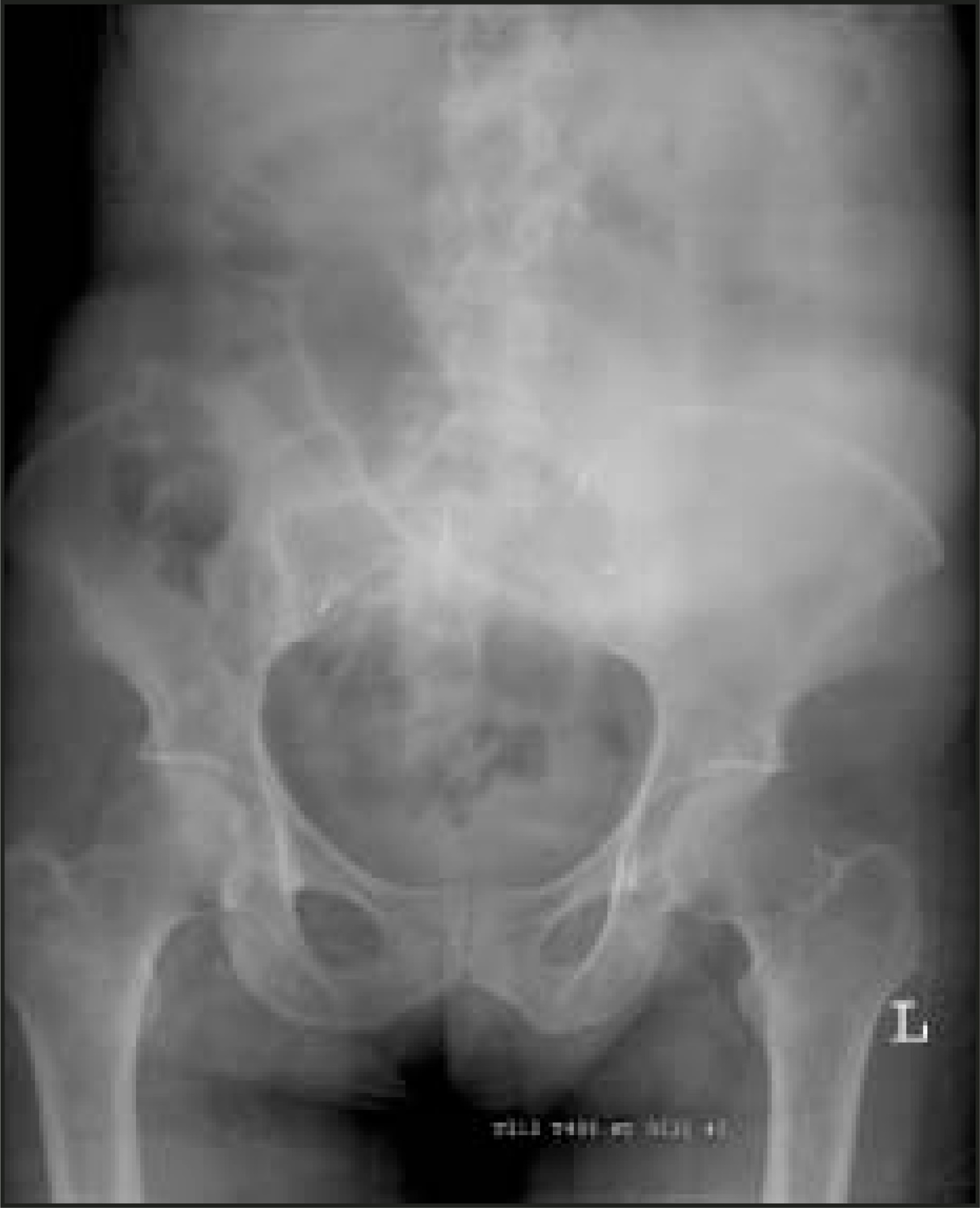 FIGURE 1.