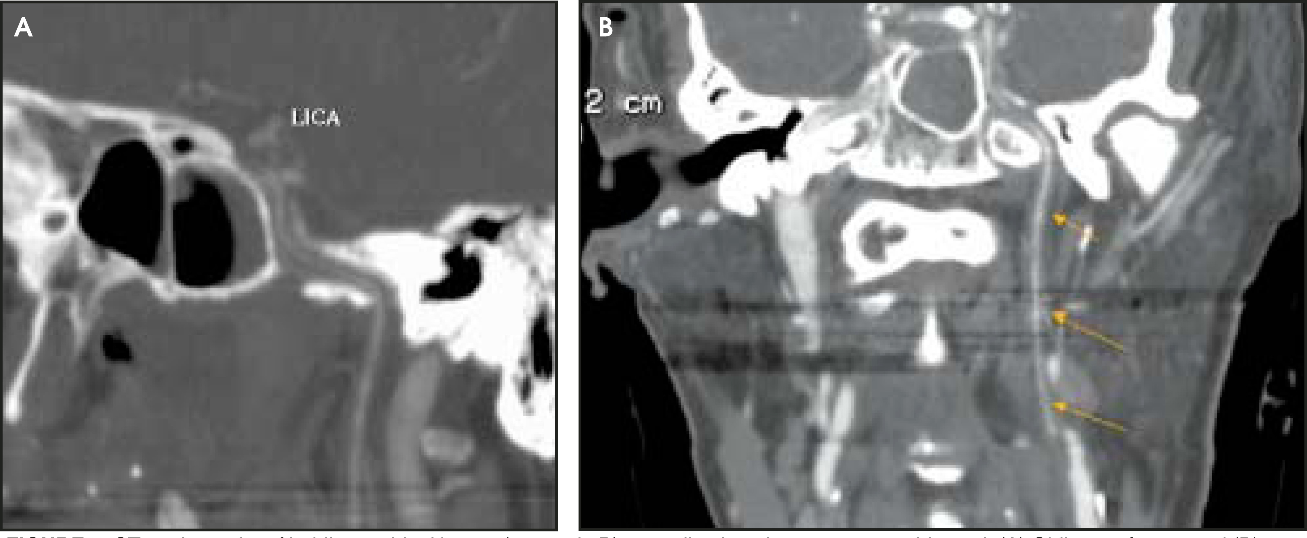 FIGURE 7.