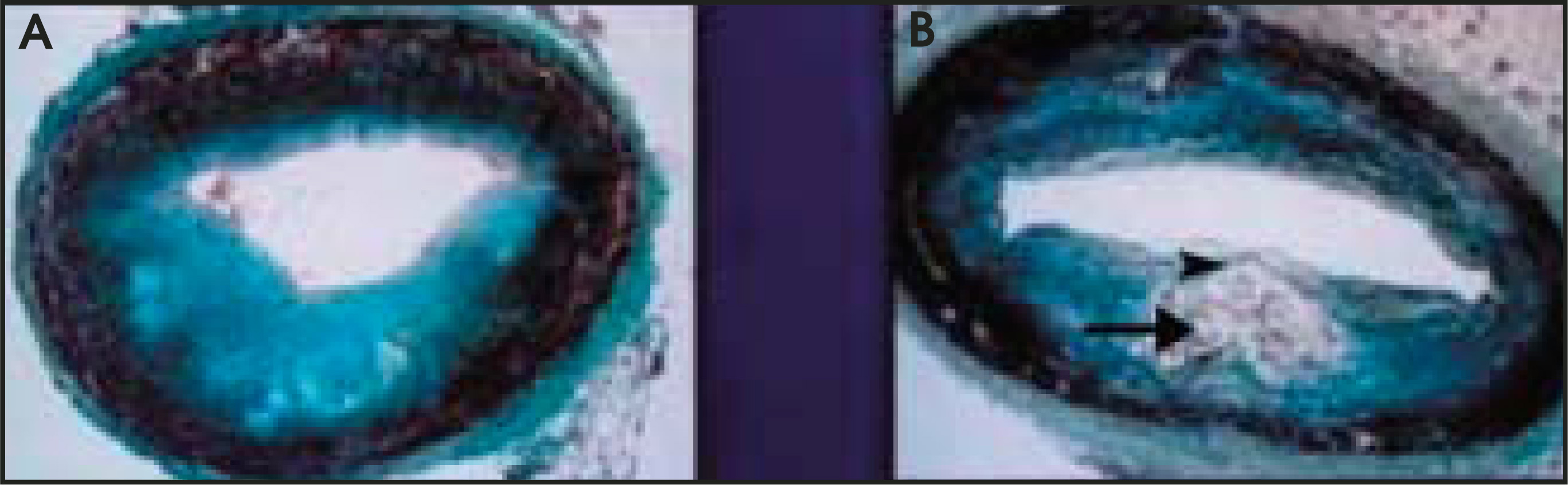 FIGURE 10.