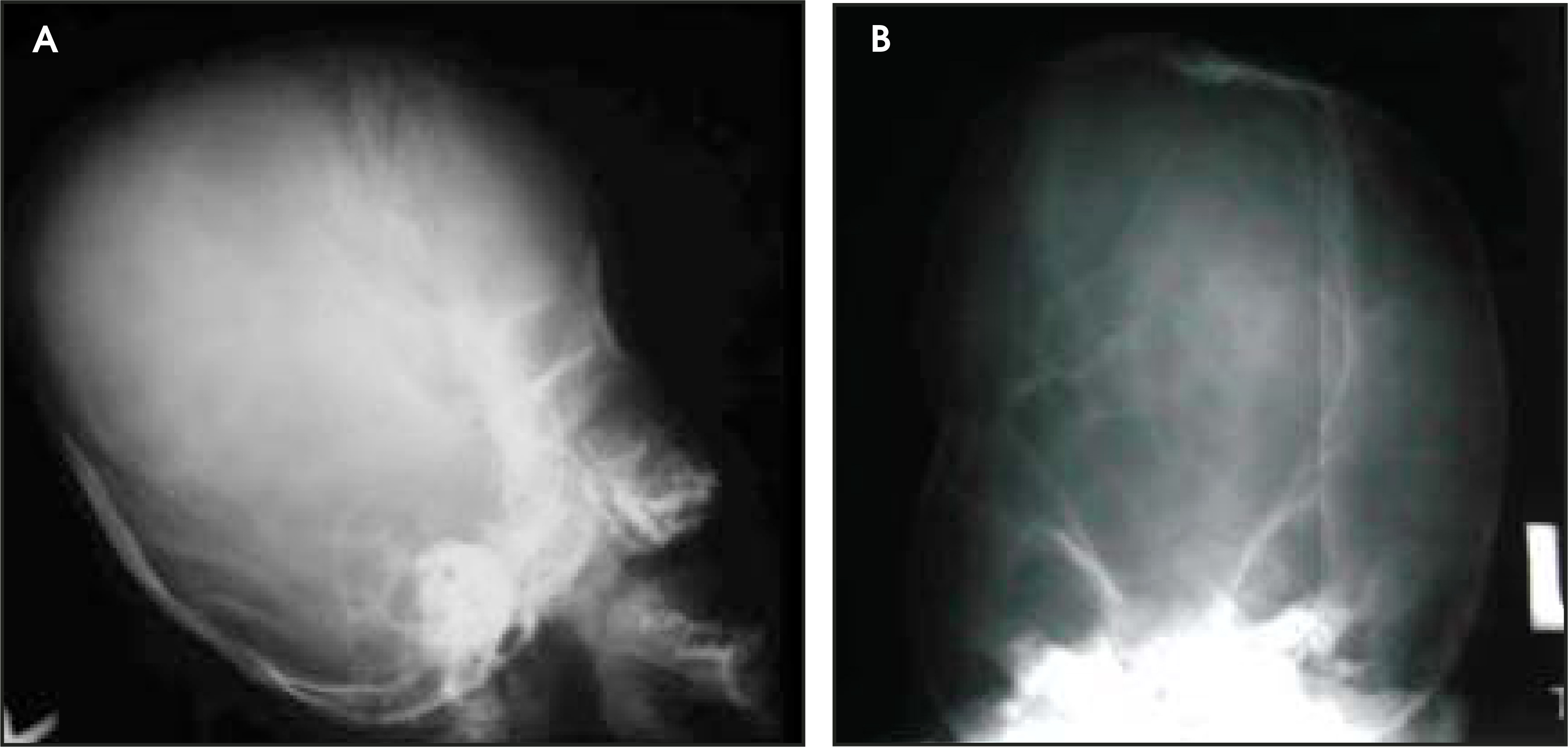 FIGURE 1.