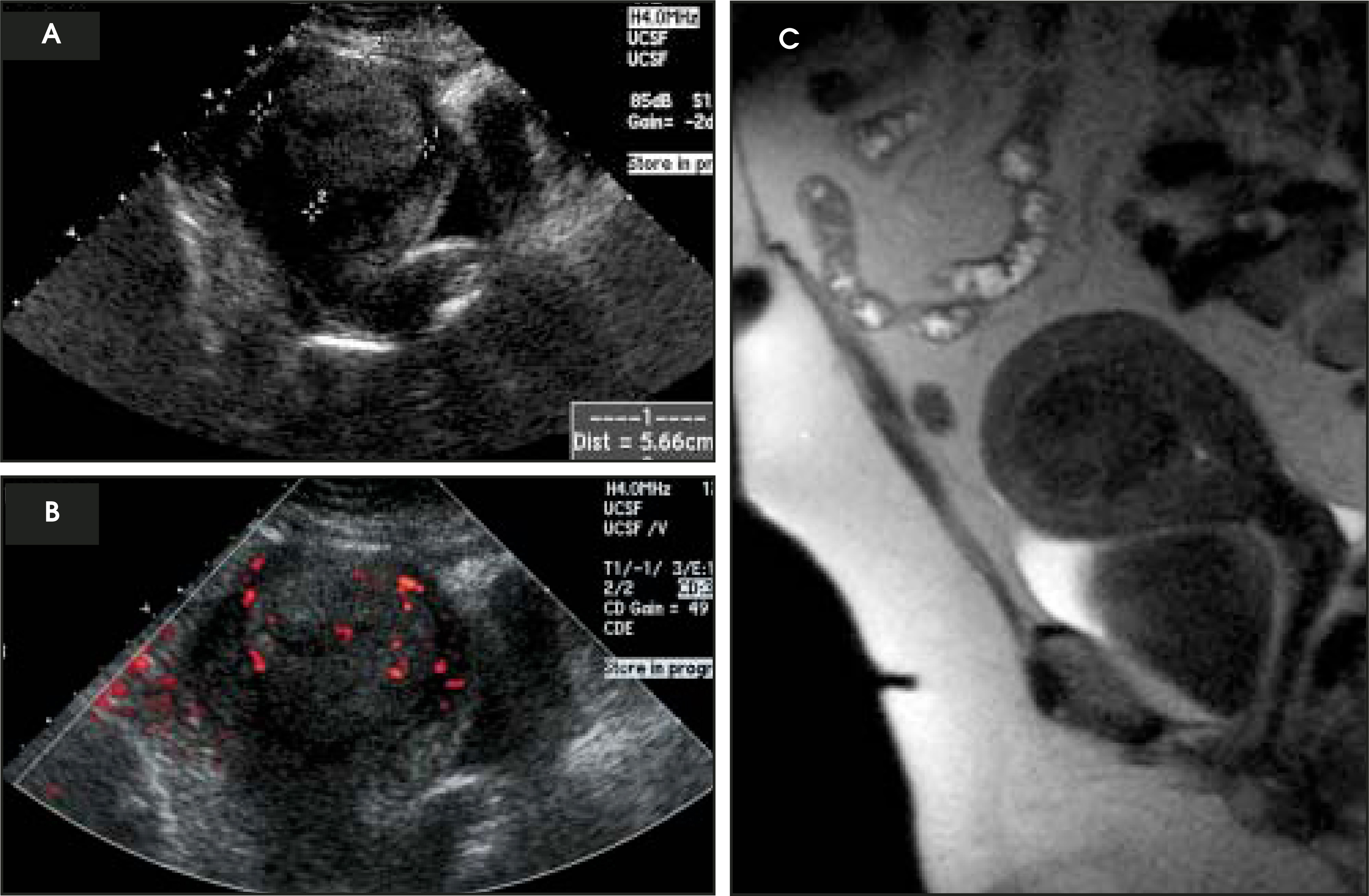 FIGURE 4.
