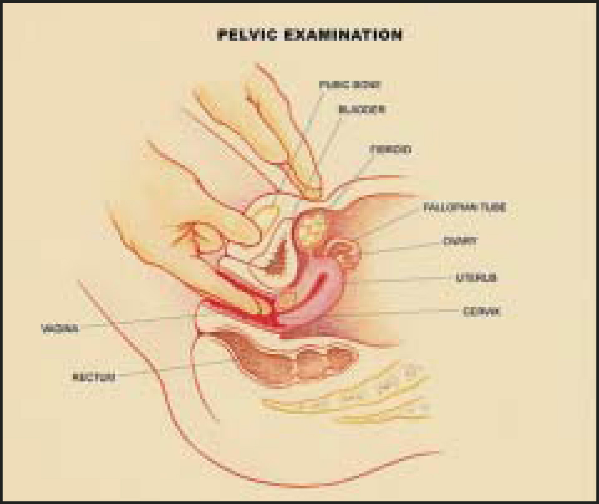 FIGURE 1.
