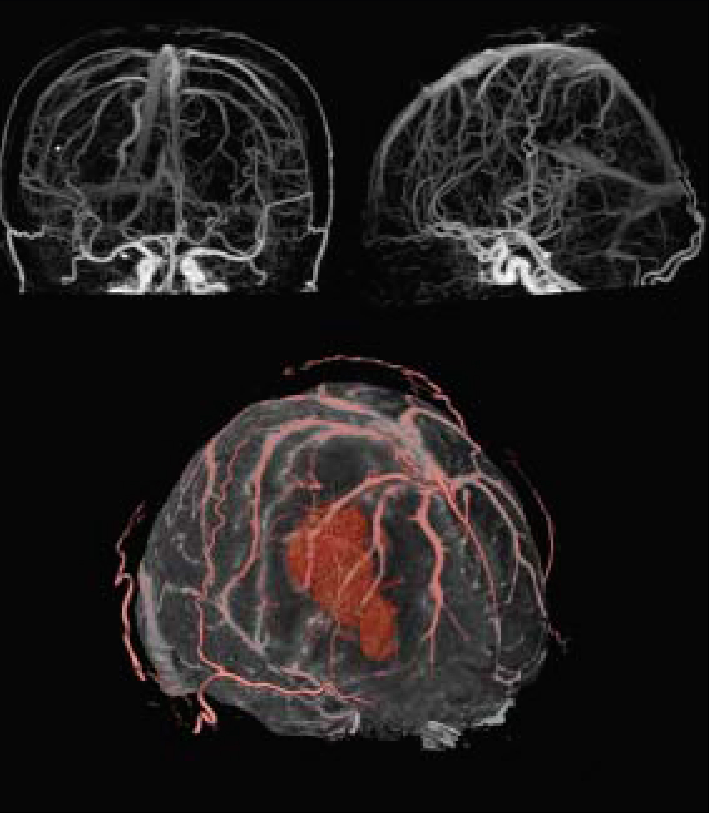 FIGURE 7.
