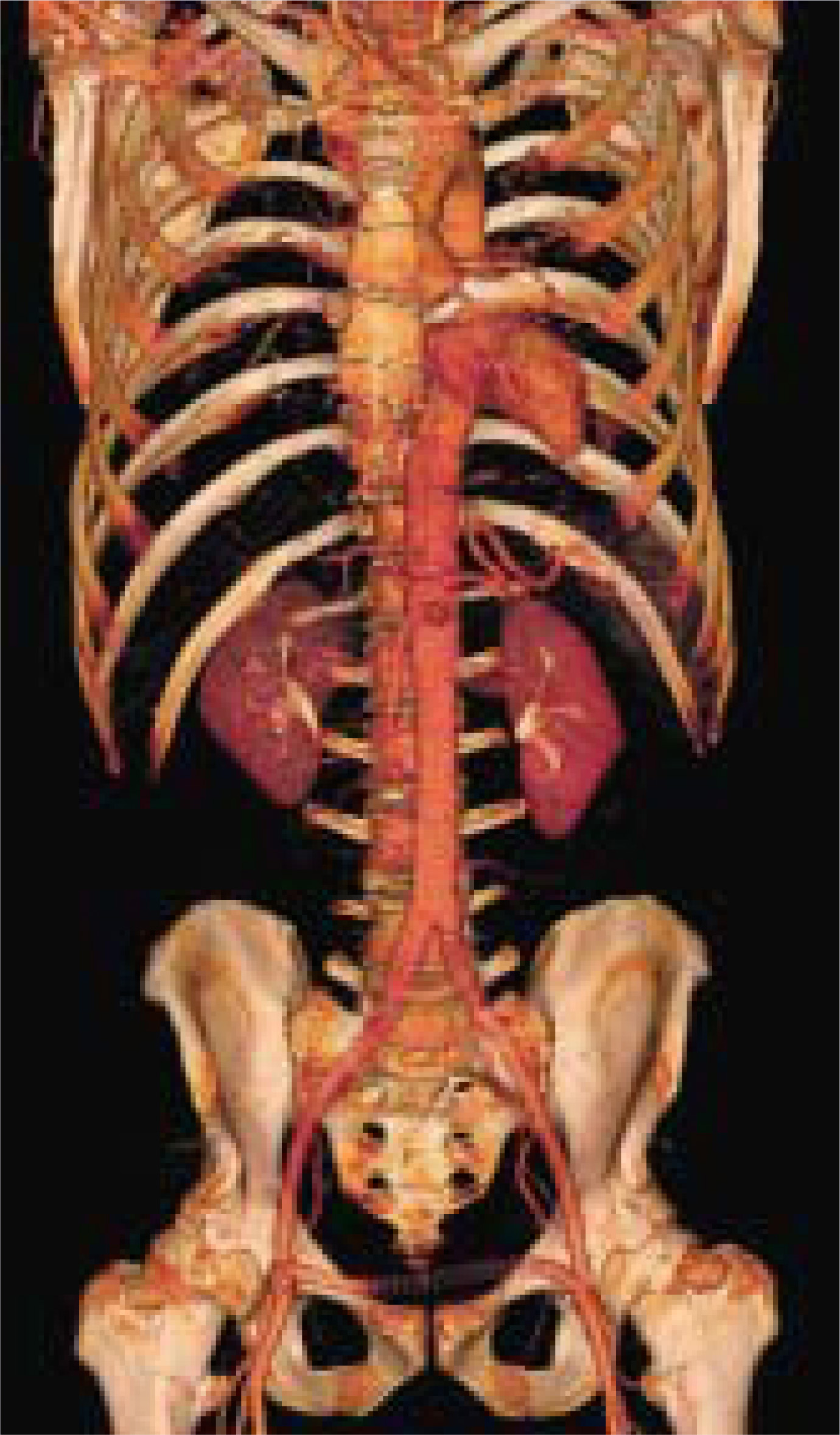 FIGURE 8.
