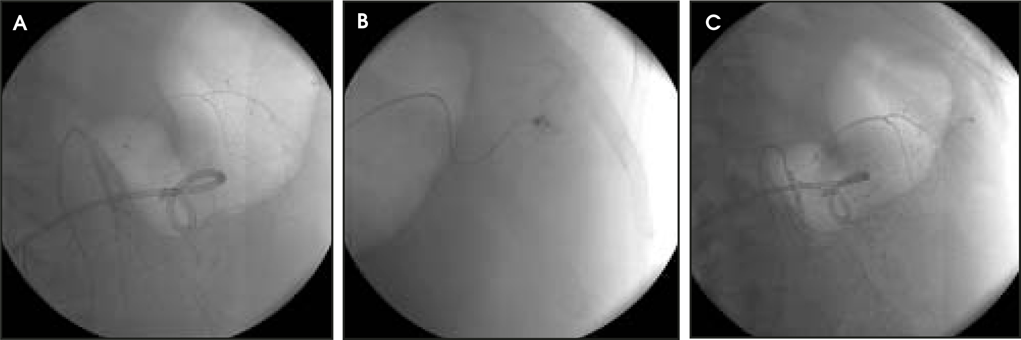 FIGURE 4.