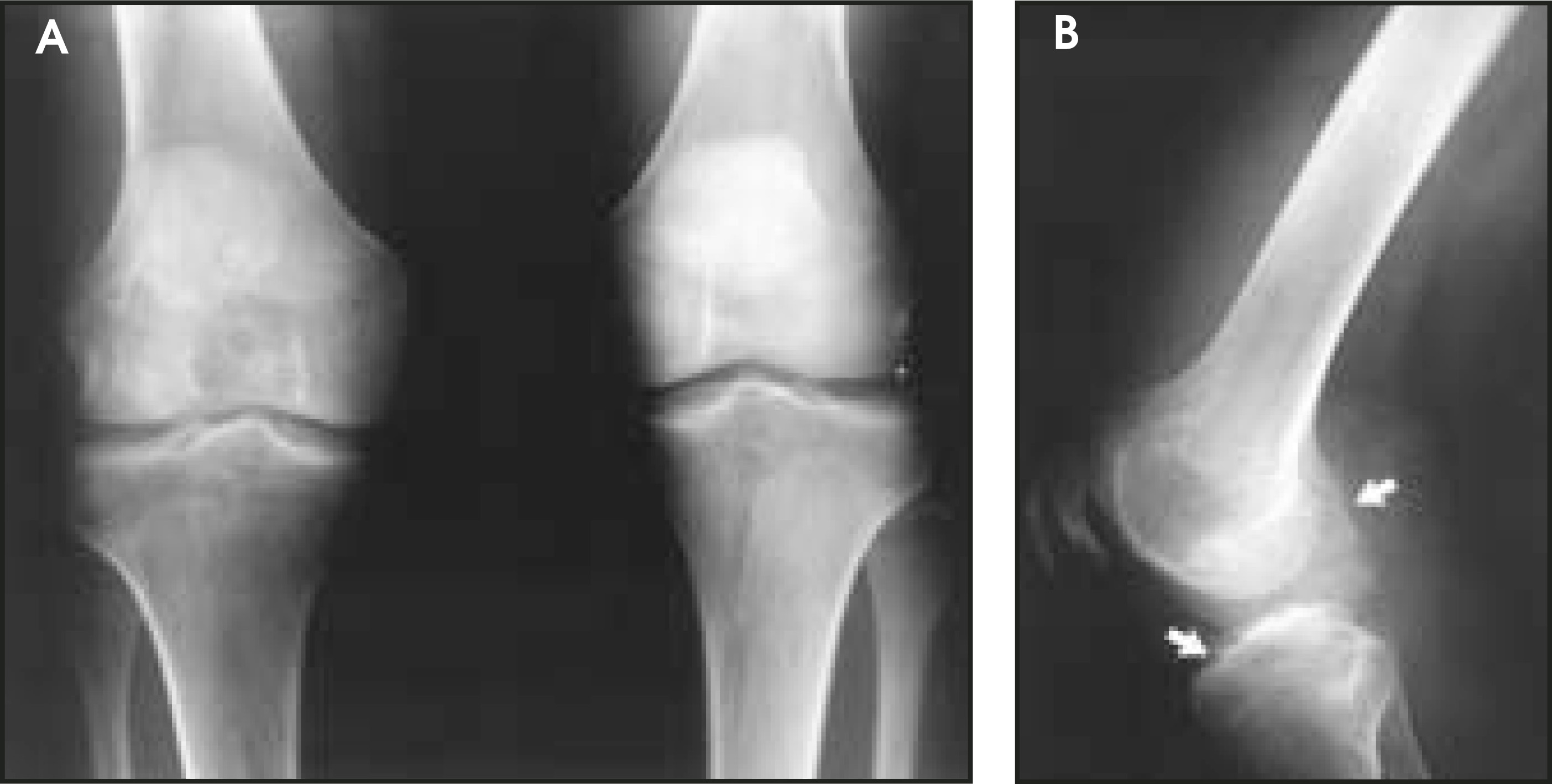 FIGURE 1.