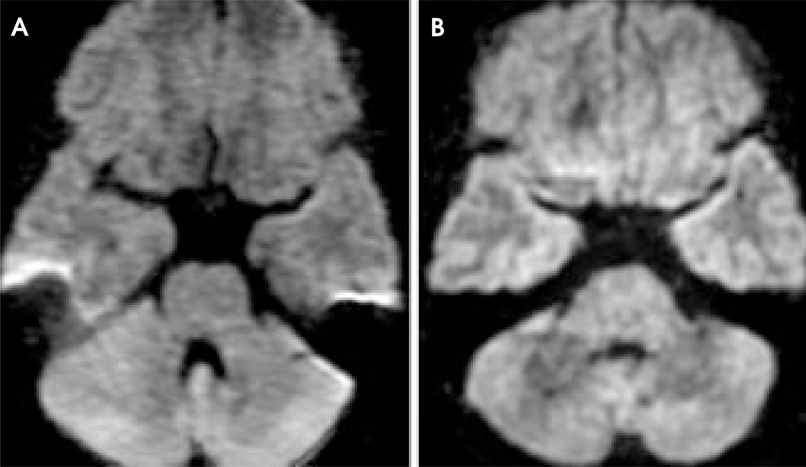 FIGURE 12.