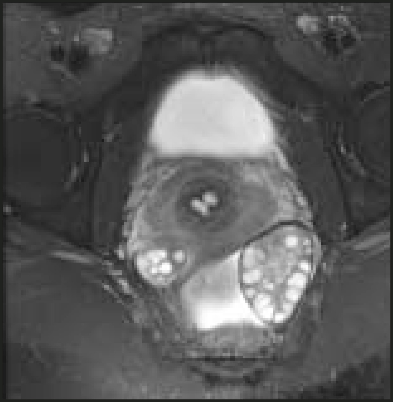 FIGURE 19.