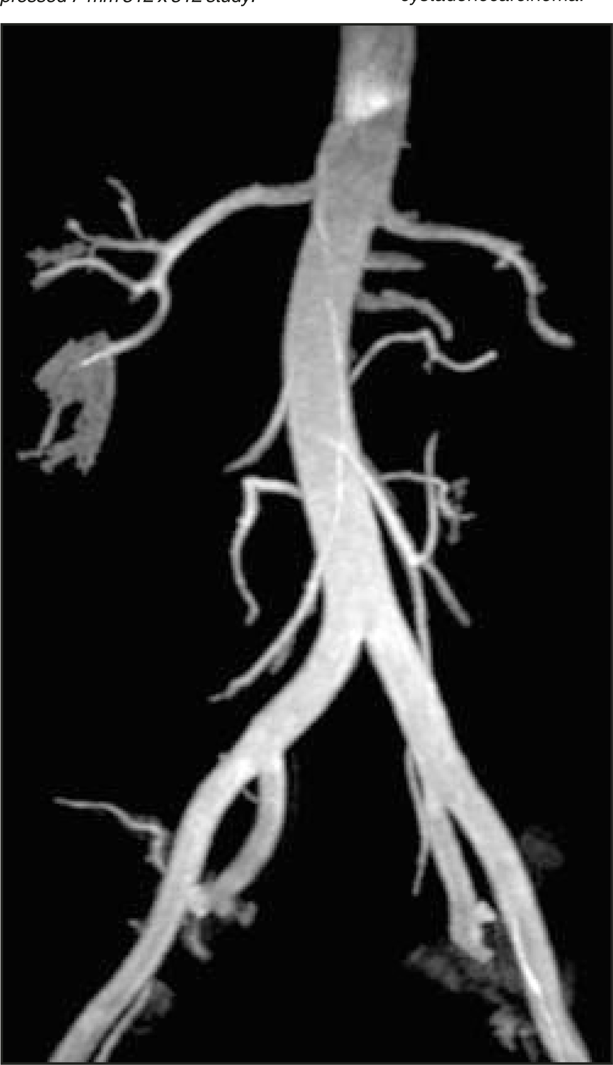 FIGURE 21.