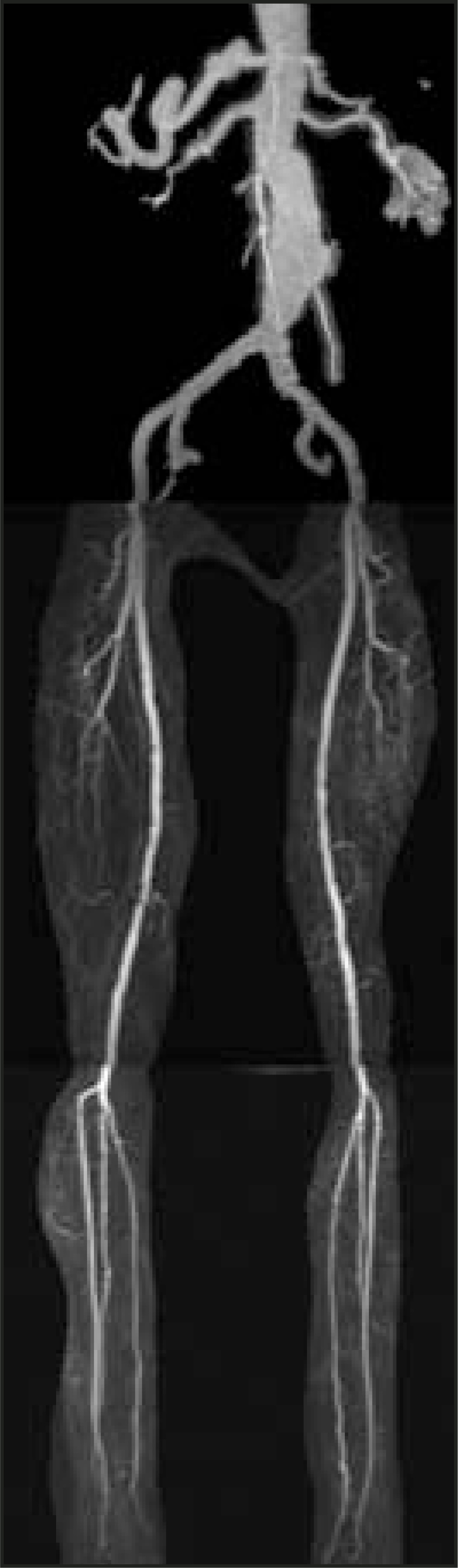 FIGURE 22.