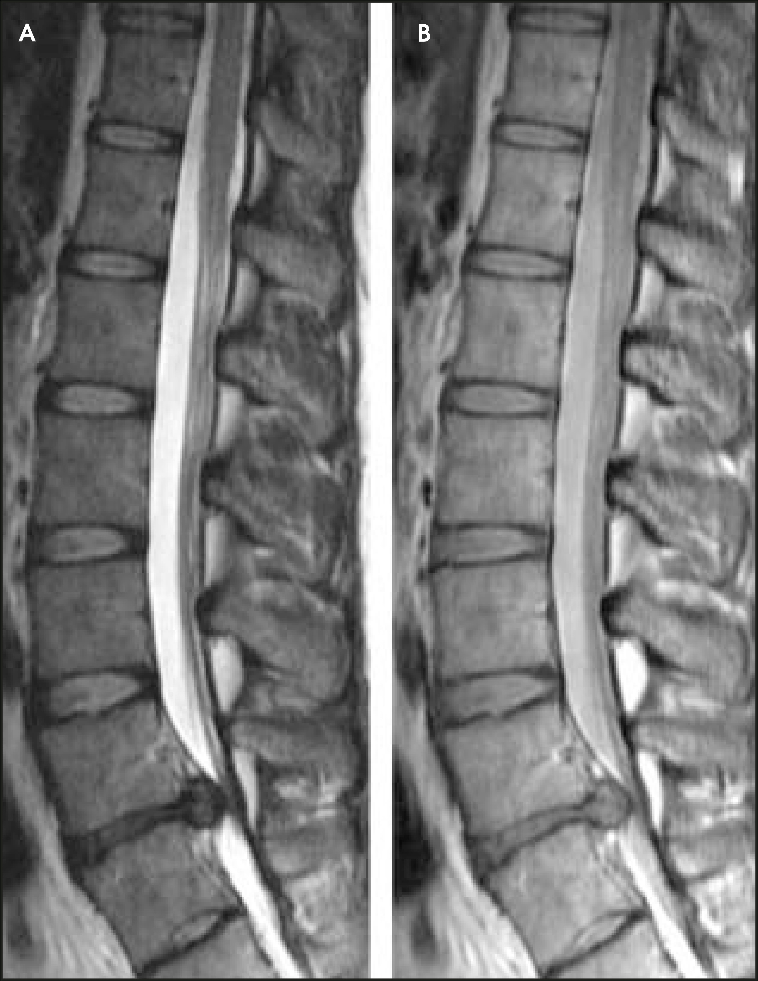 FIGURE 23.