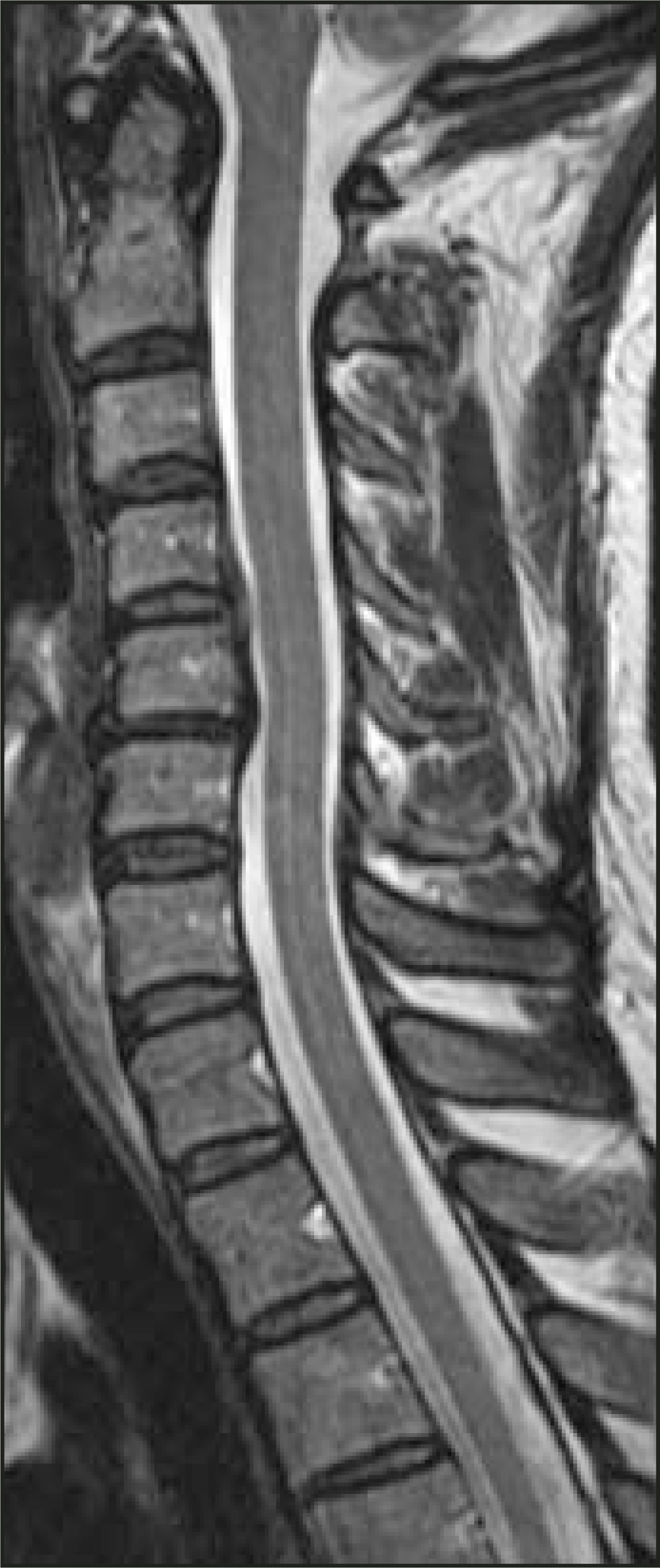 FIGURE 24.